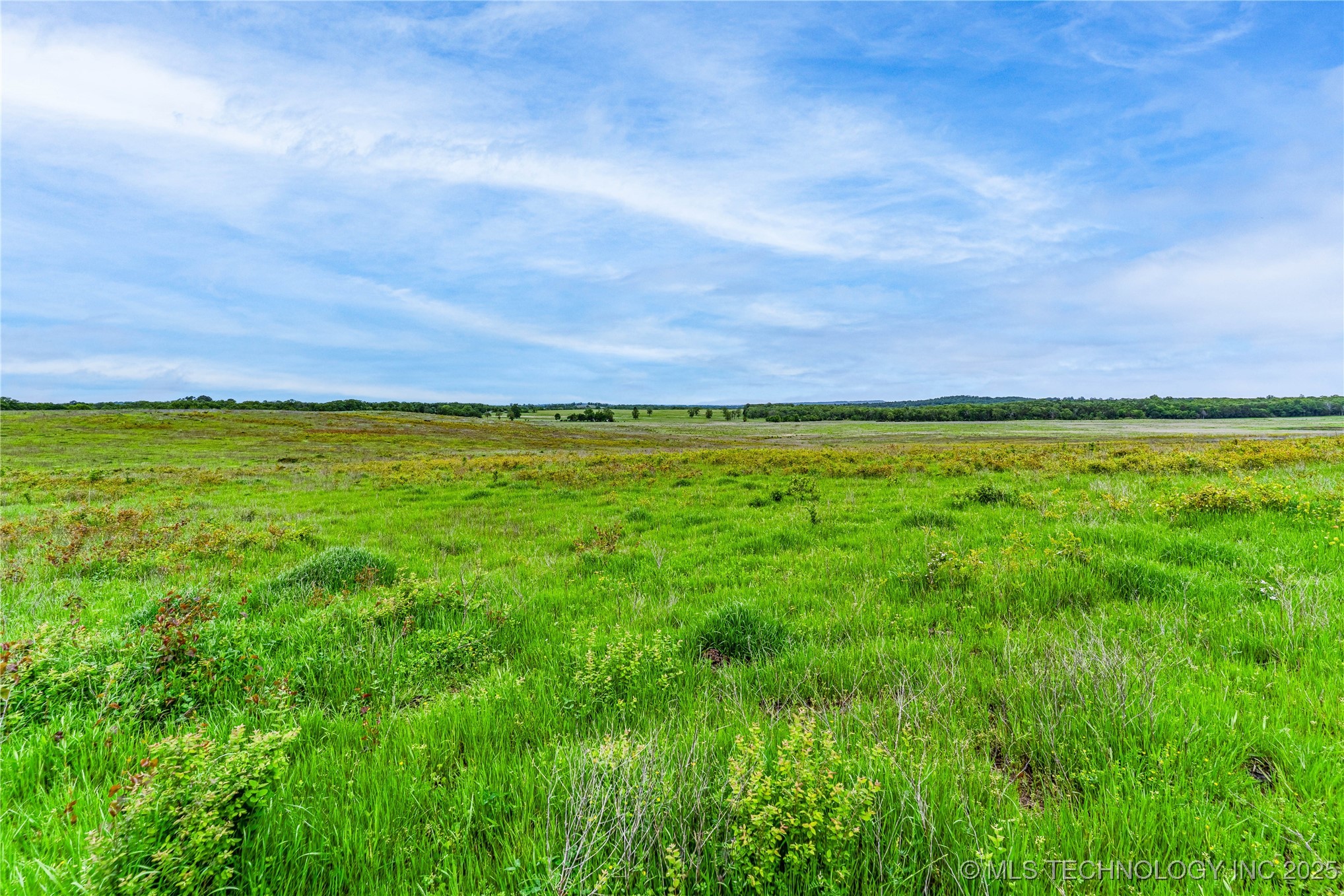 2518559 Property Photo 33