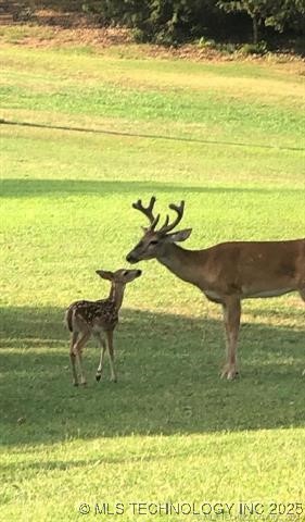 460925 E 1146 Road Property Photo 8