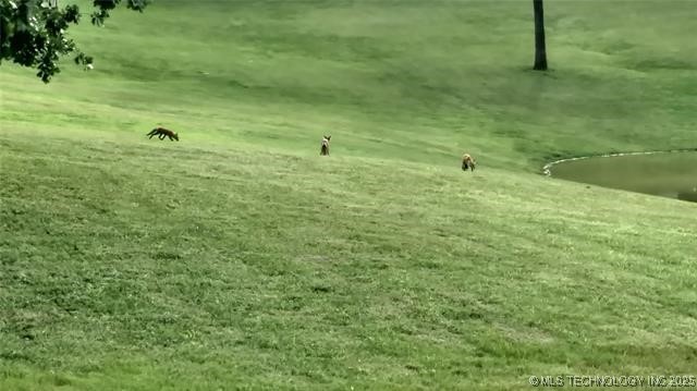 460925 E 1146 Road Property Photo 20