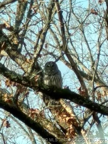 460925 E 1146 Road Property Photo 27