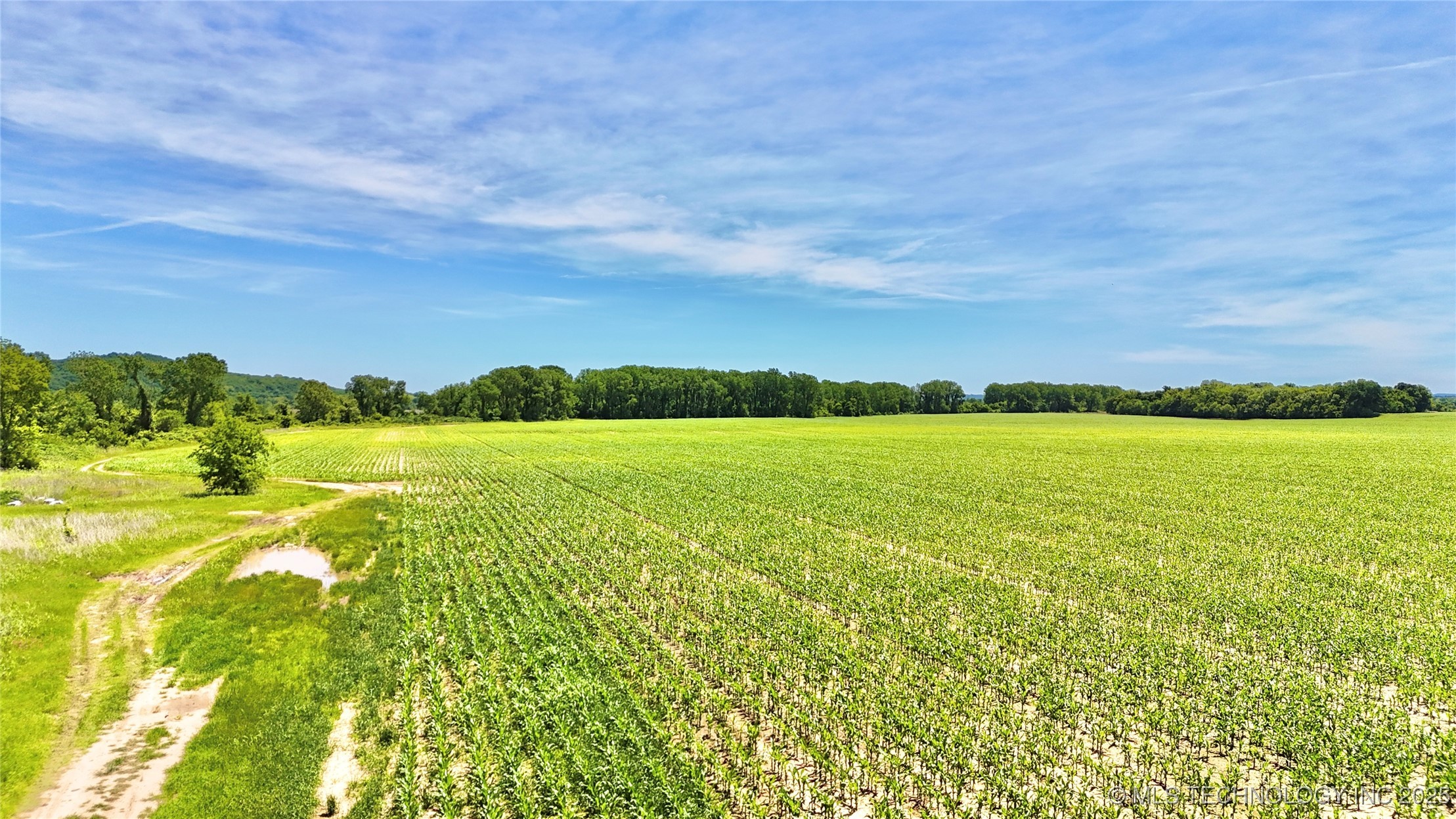 N County Road 4340 Property Photo 5