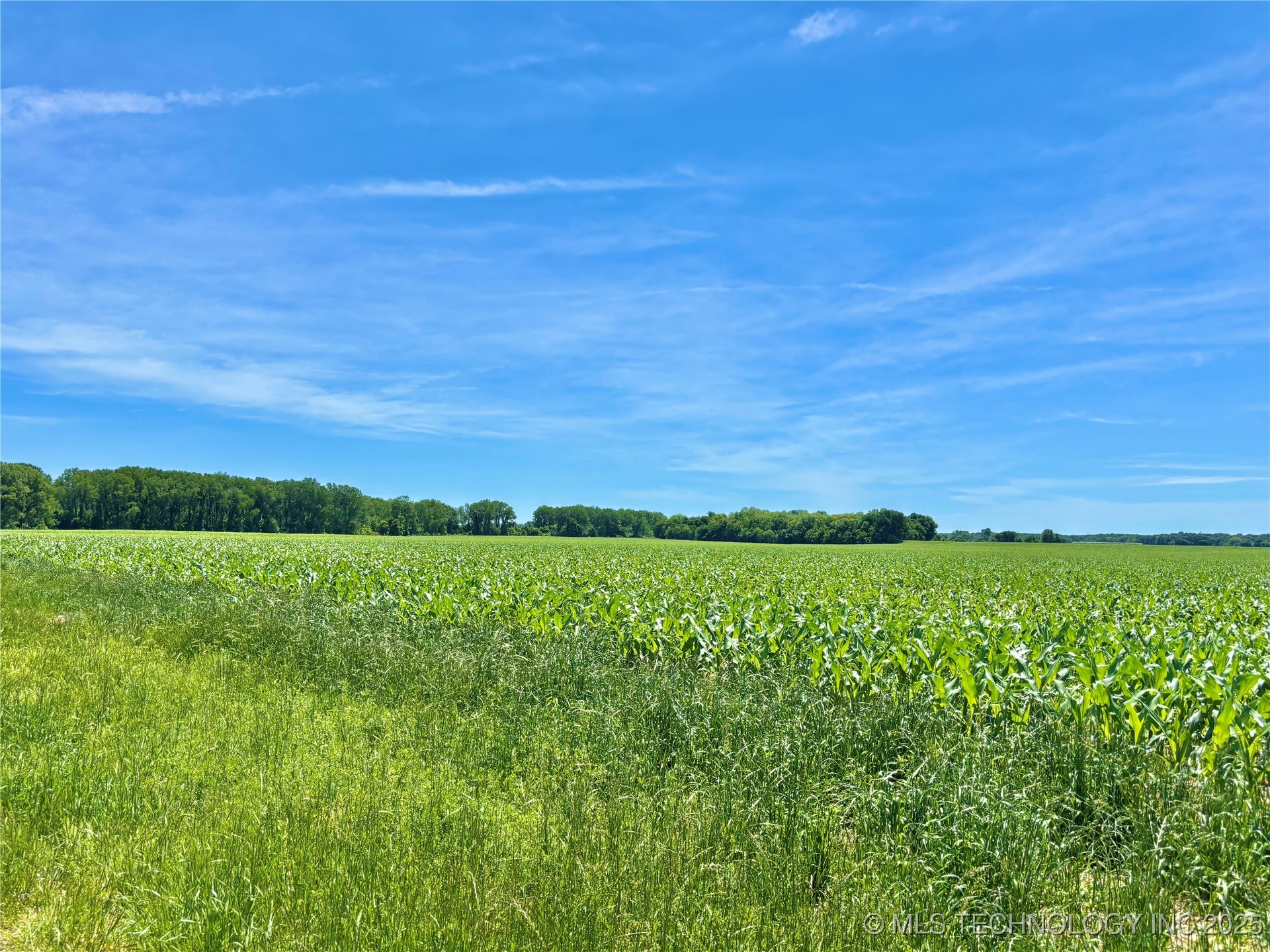 N County Road 4340 Property Photo 32