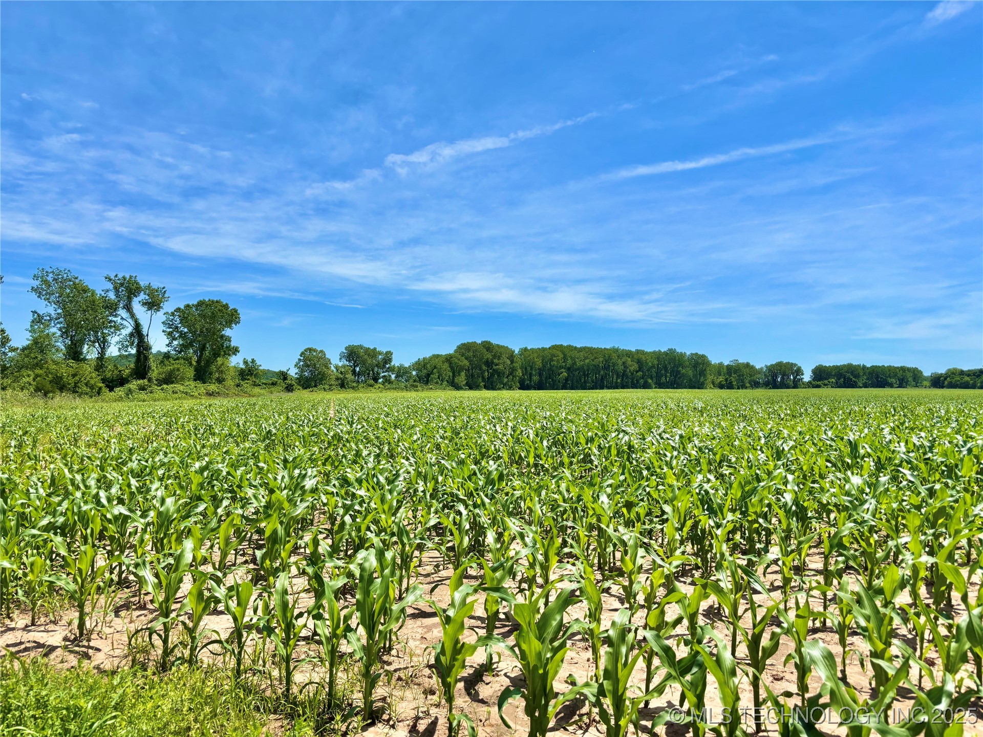 N County Road 4340 Property Photo 34