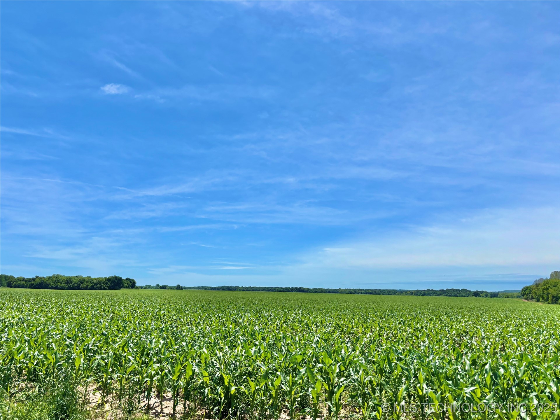 N County Road 4340 Property Photo 39