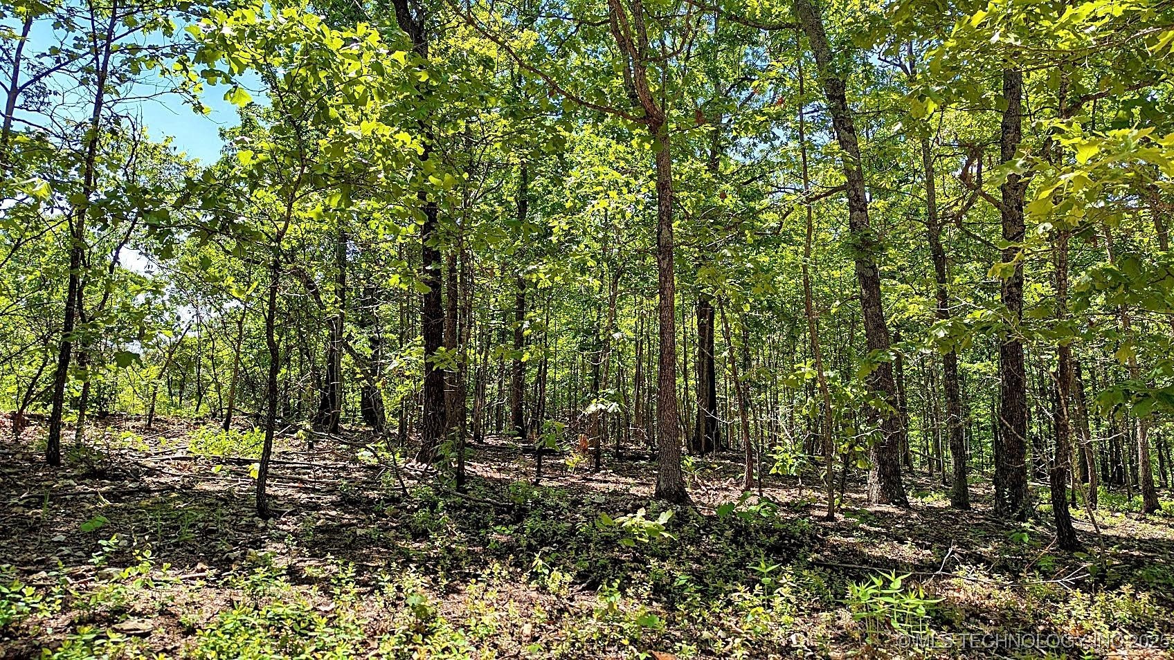 467000 E 595 Road Property Photo 16