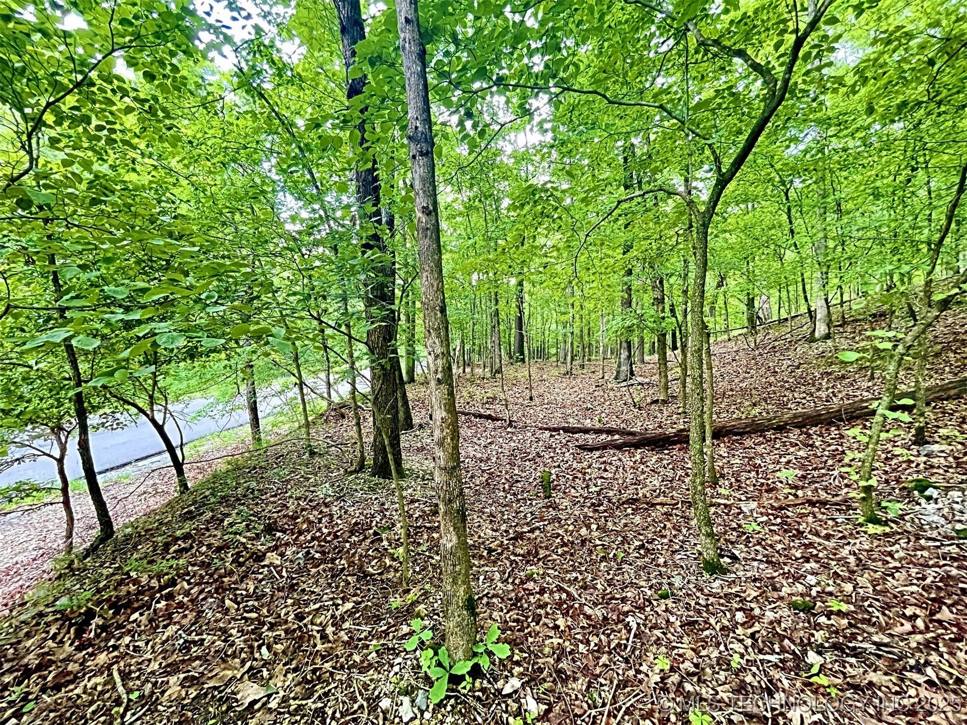 8128 W Clear Creek Road Property Photo 1