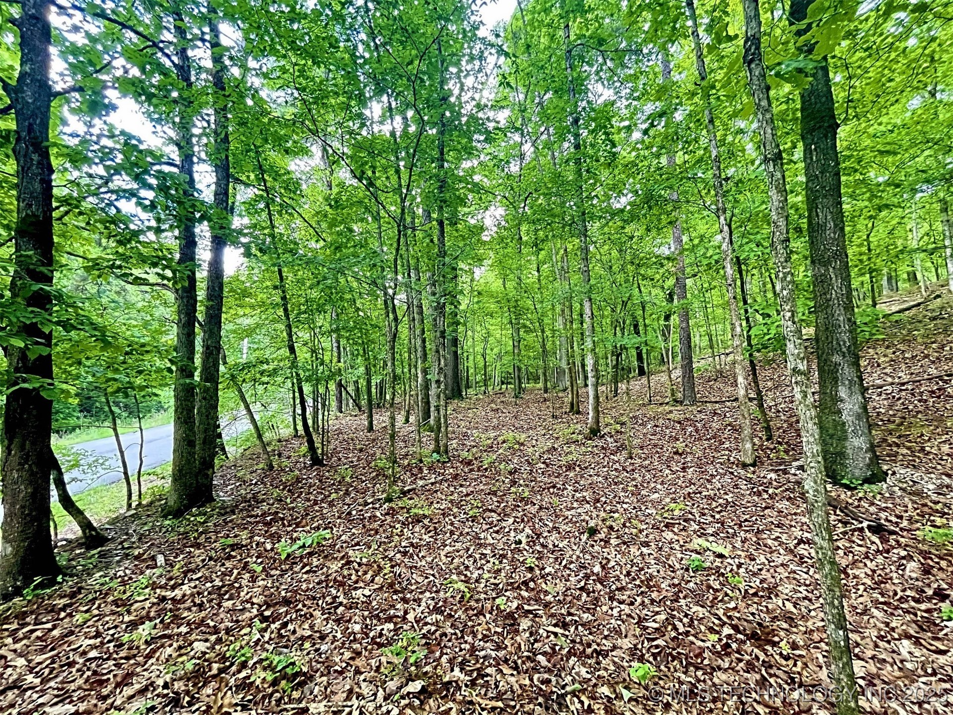 8128 W Clear Creek Road Property Photo 2