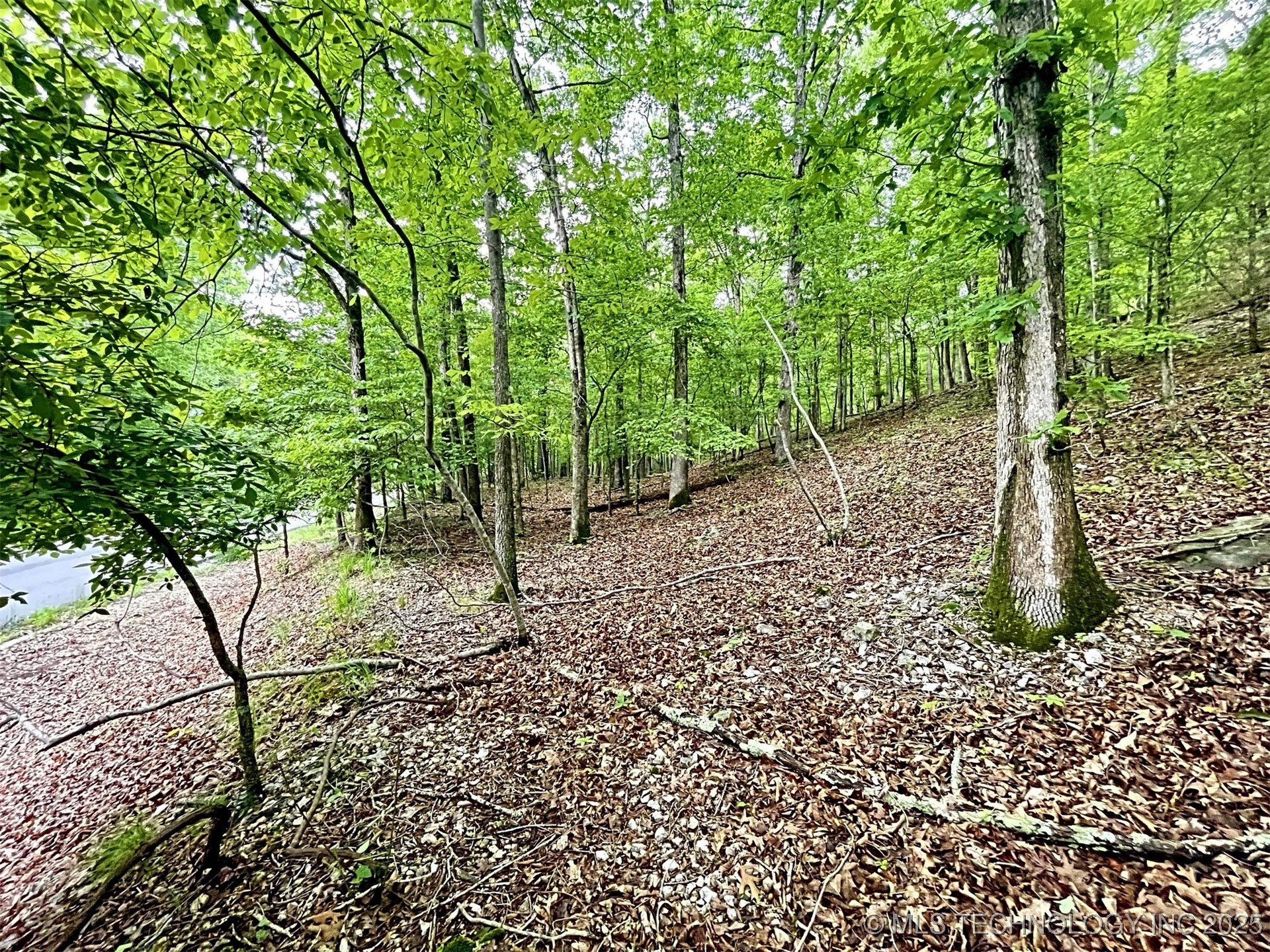 8128 W Clear Creek Road Property Photo 4