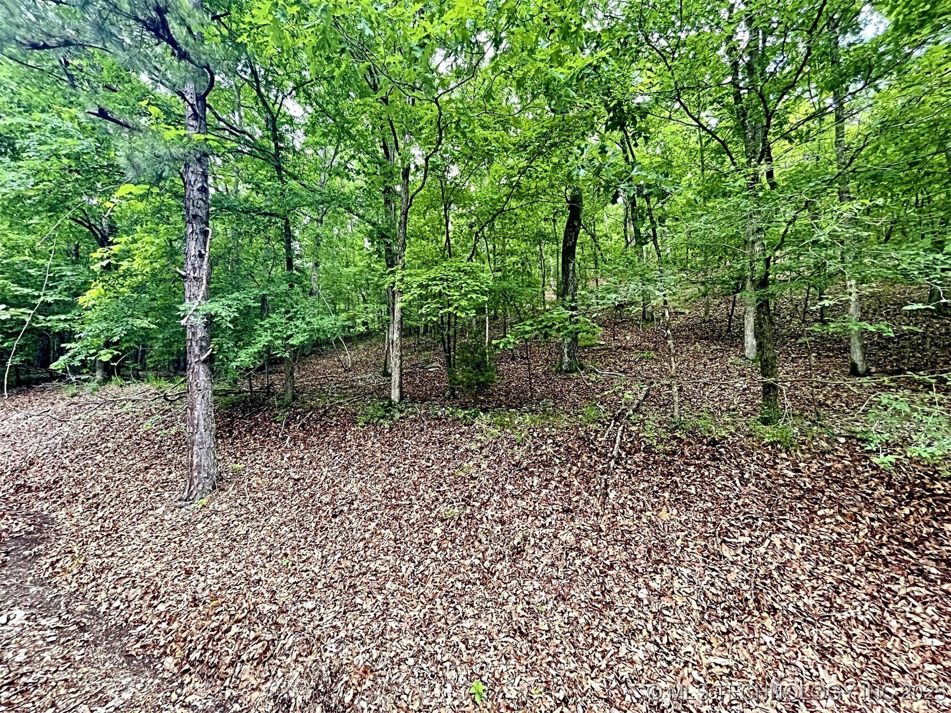 8128 W Clear Creek Road Property Photo 5