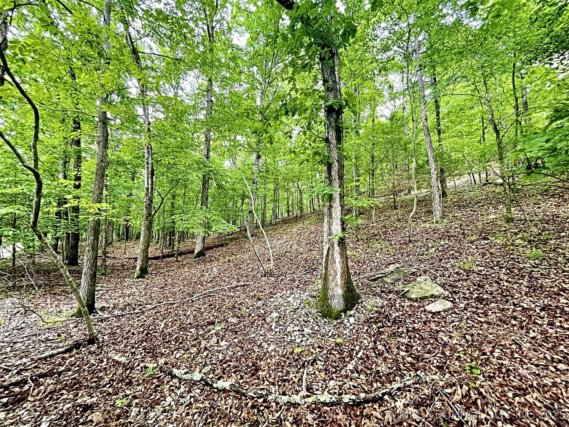 8128 W Clear Creek Road Property Photo 6