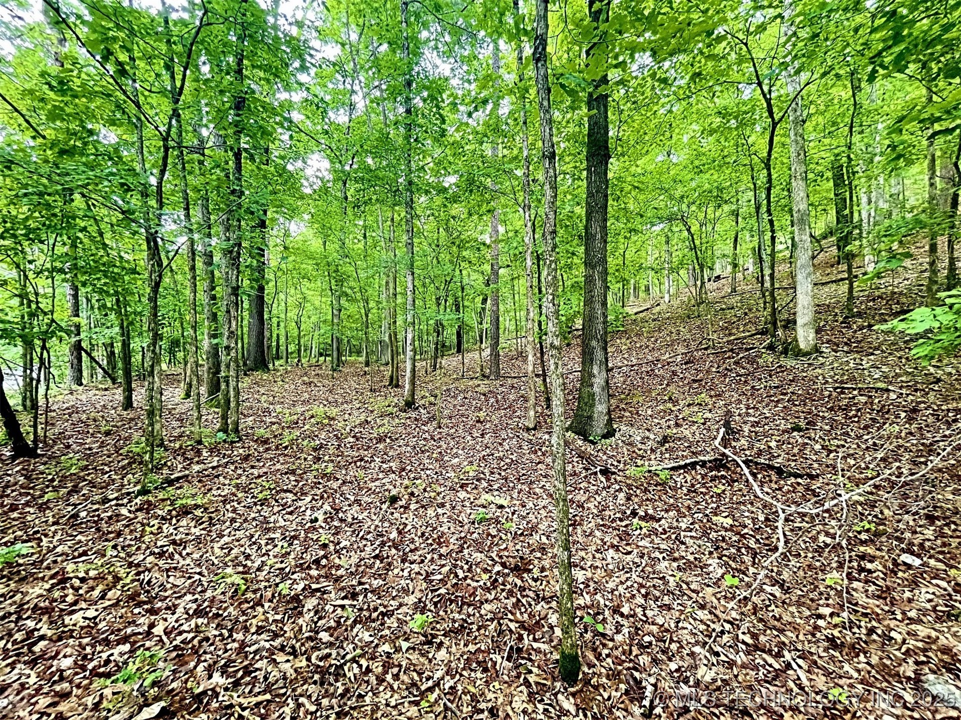 8128 W Clear Creek Road Property Photo 8