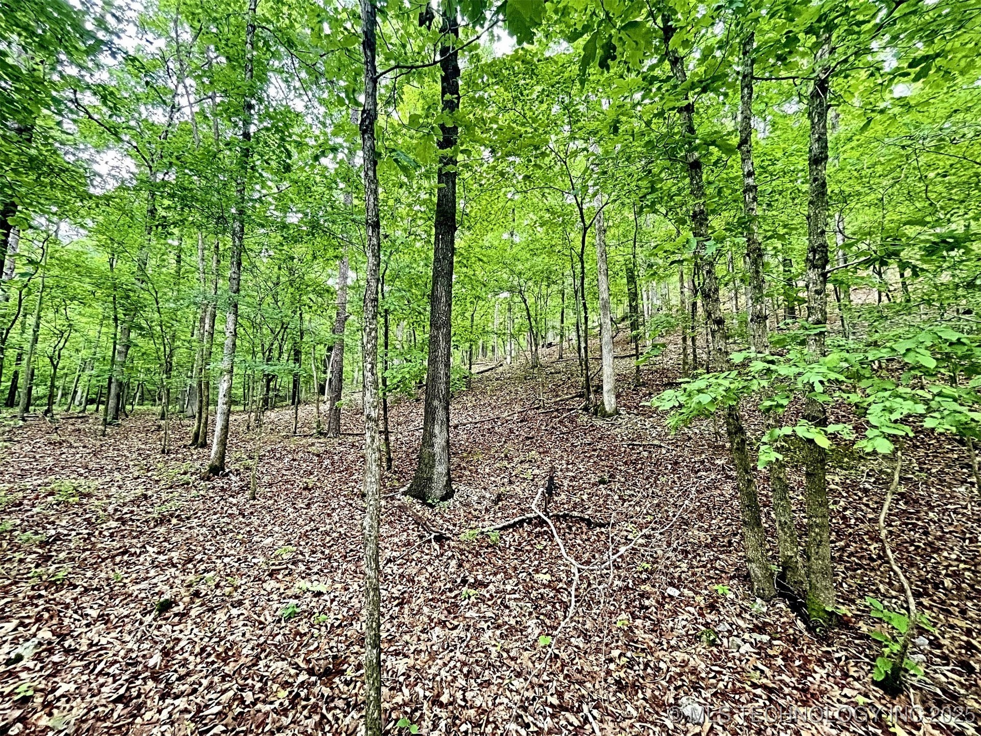 8128 W Clear Creek Road Property Photo 9