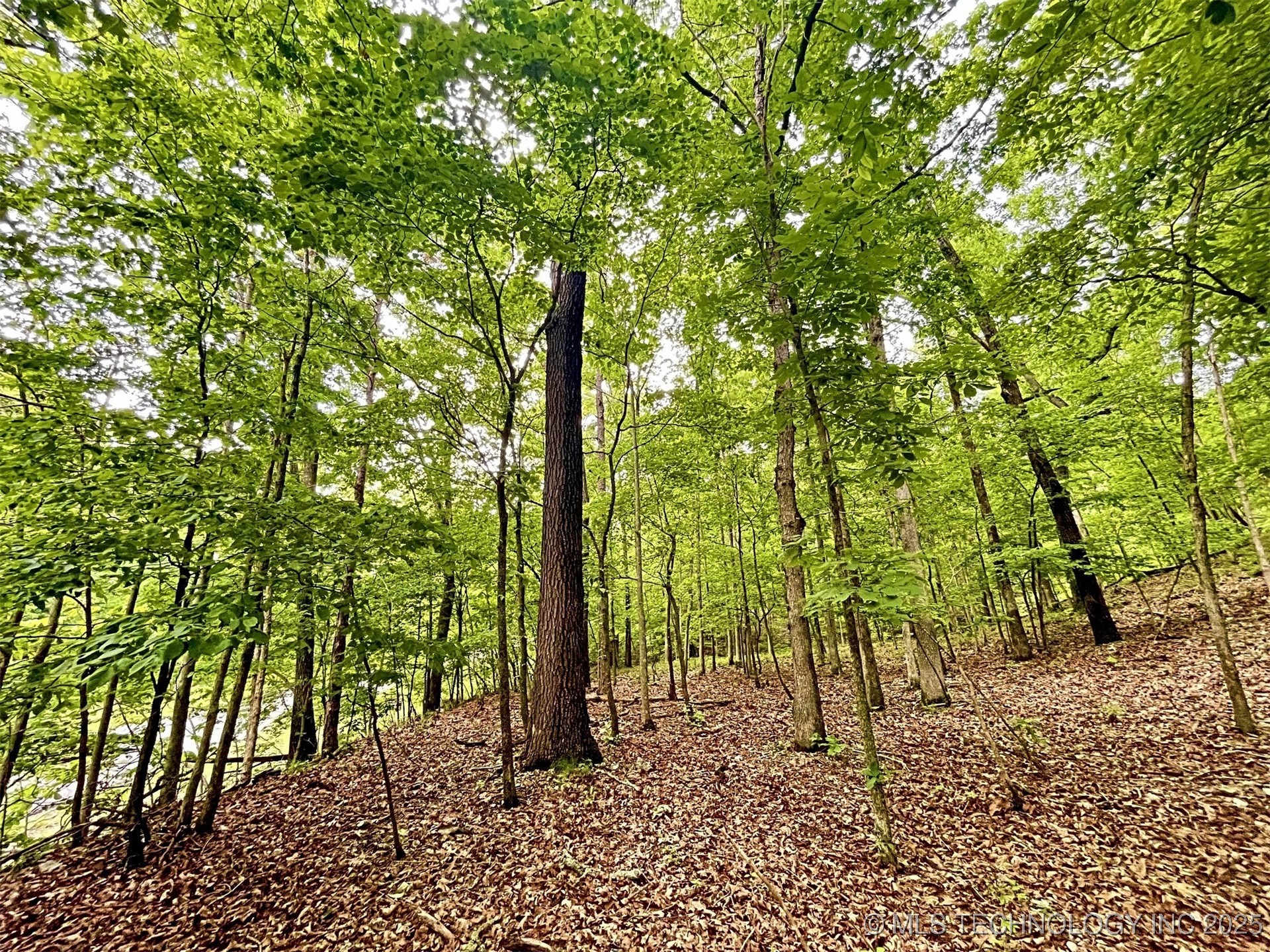 8128 W Clear Creek Road Property Photo 11