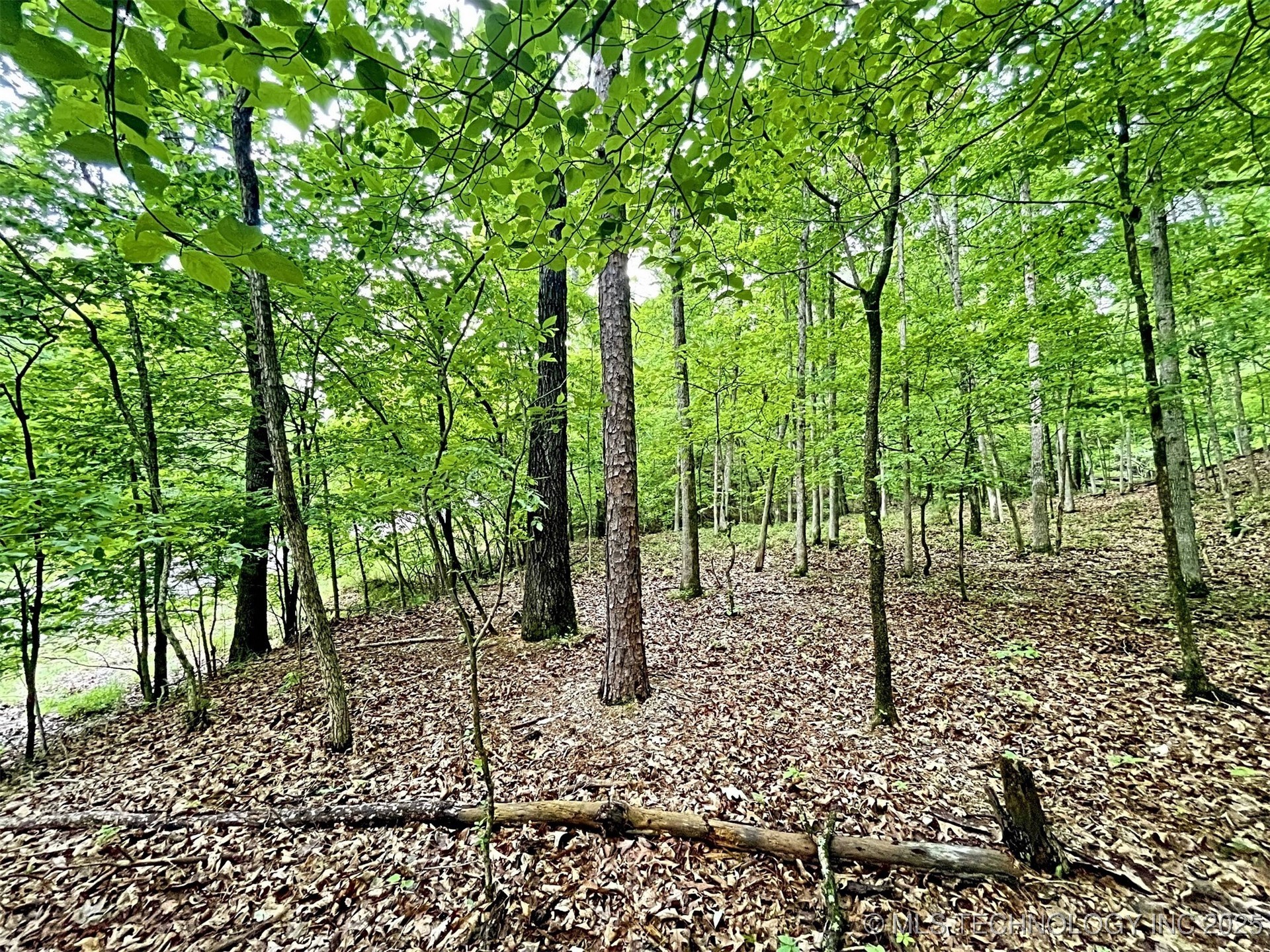 8128 W Clear Creek Road Property Photo 12