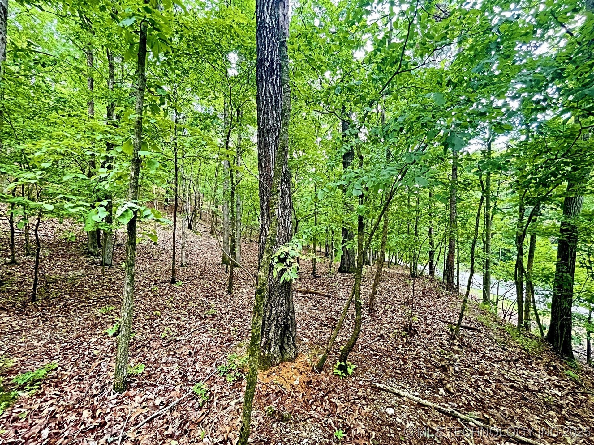 8128 W Clear Creek Road Property Photo 13