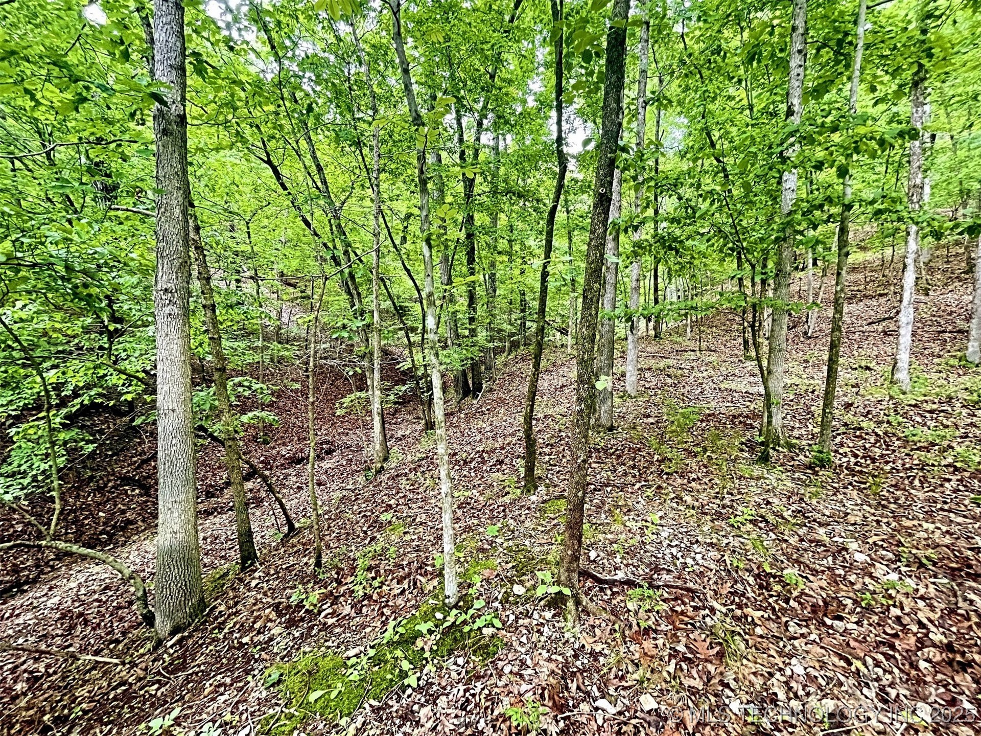 8128 W Clear Creek Road Property Photo 14