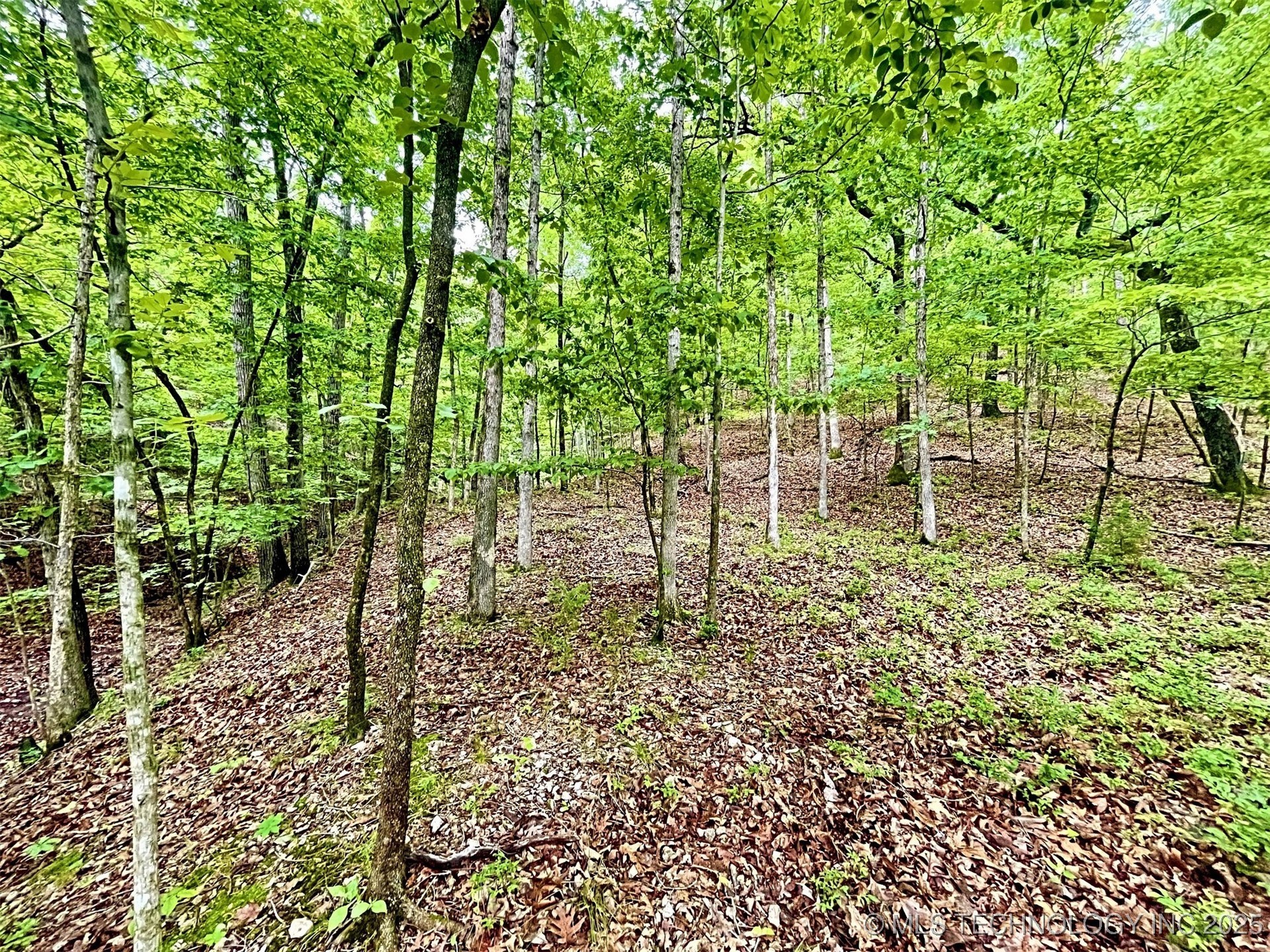 8128 W Clear Creek Road Property Photo 15