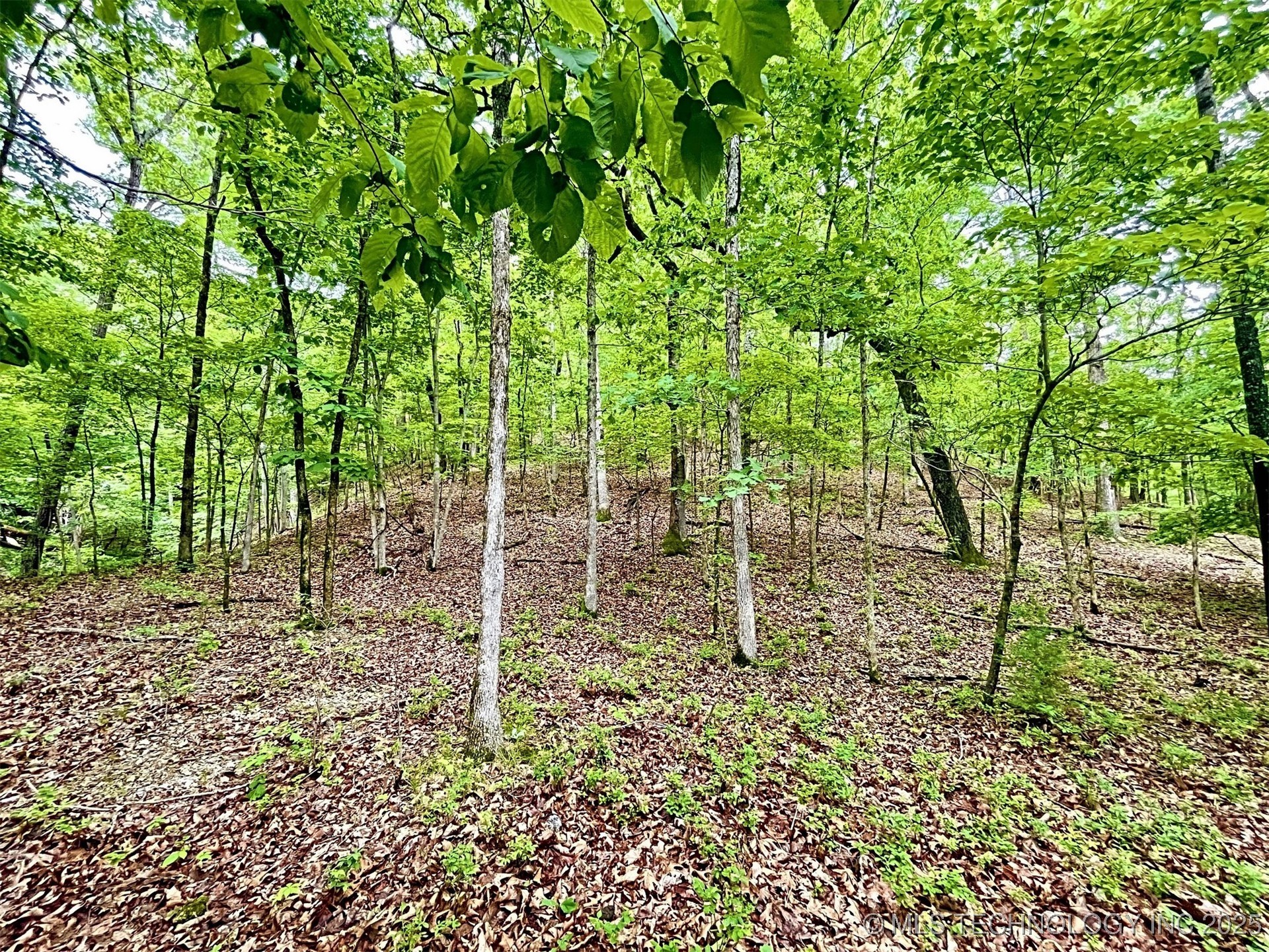 8128 W Clear Creek Road Property Photo 16