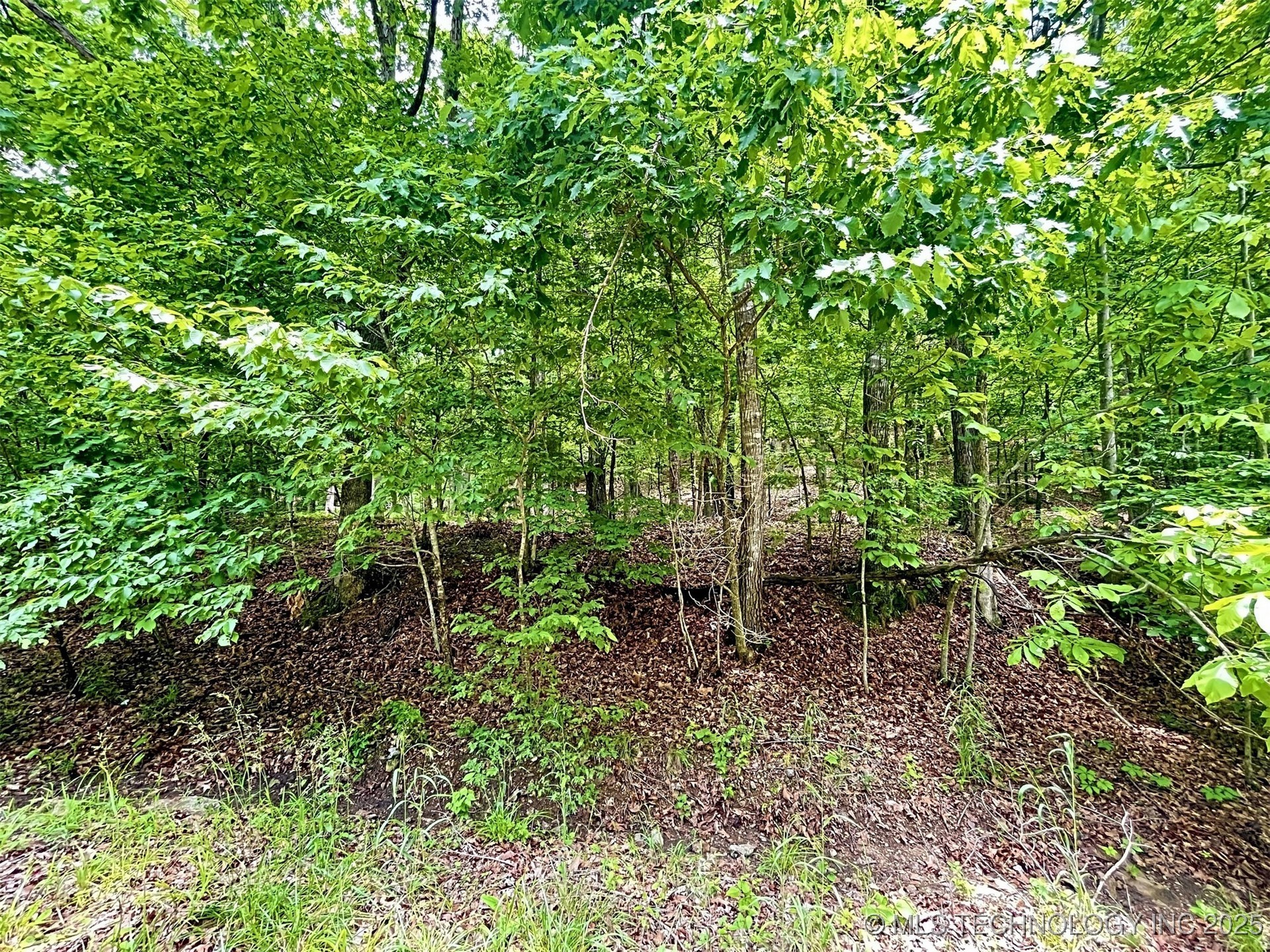 8128 W Clear Creek Road Property Photo 17