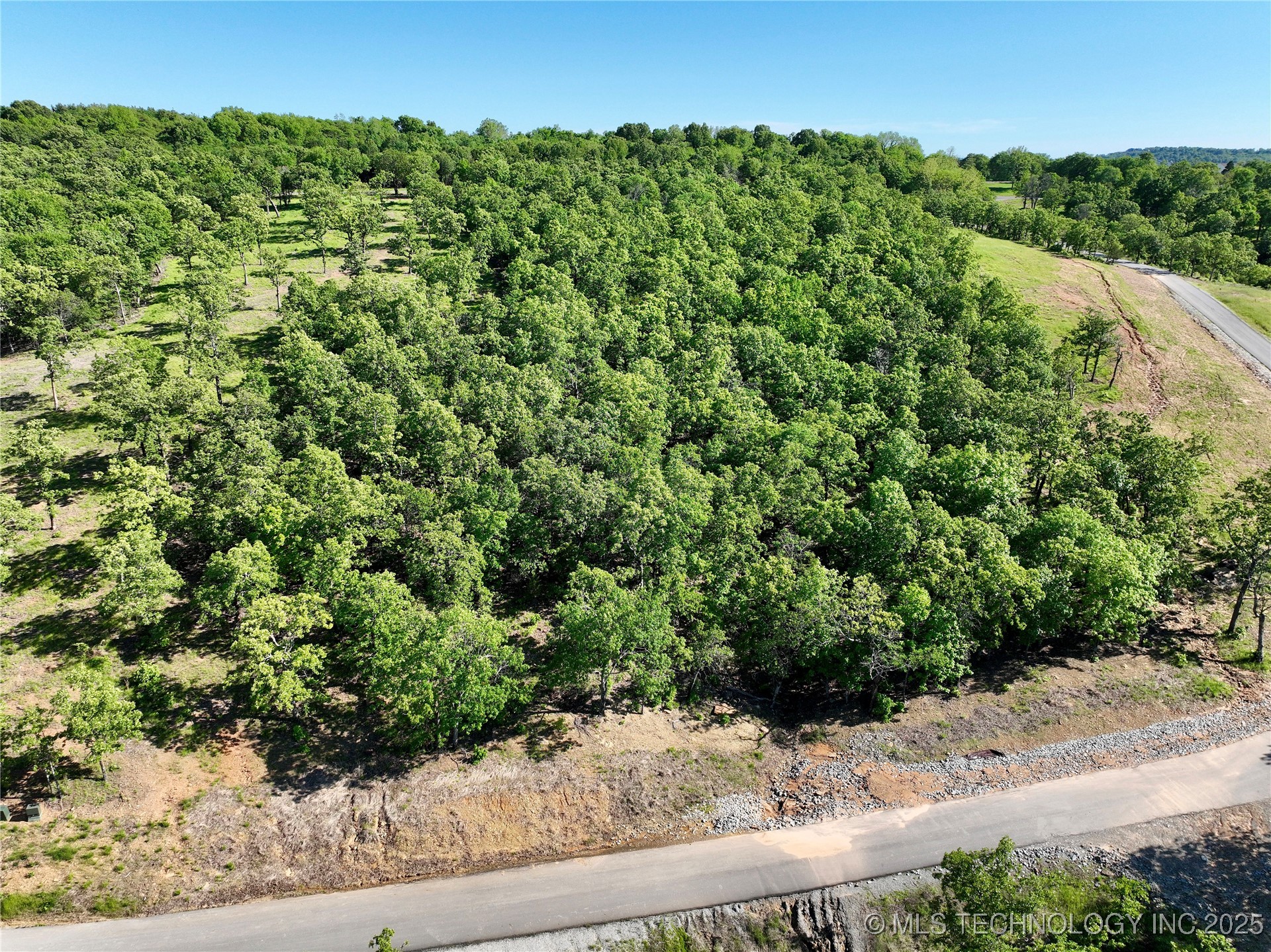 238 Patriot Pointe Property Photo 12