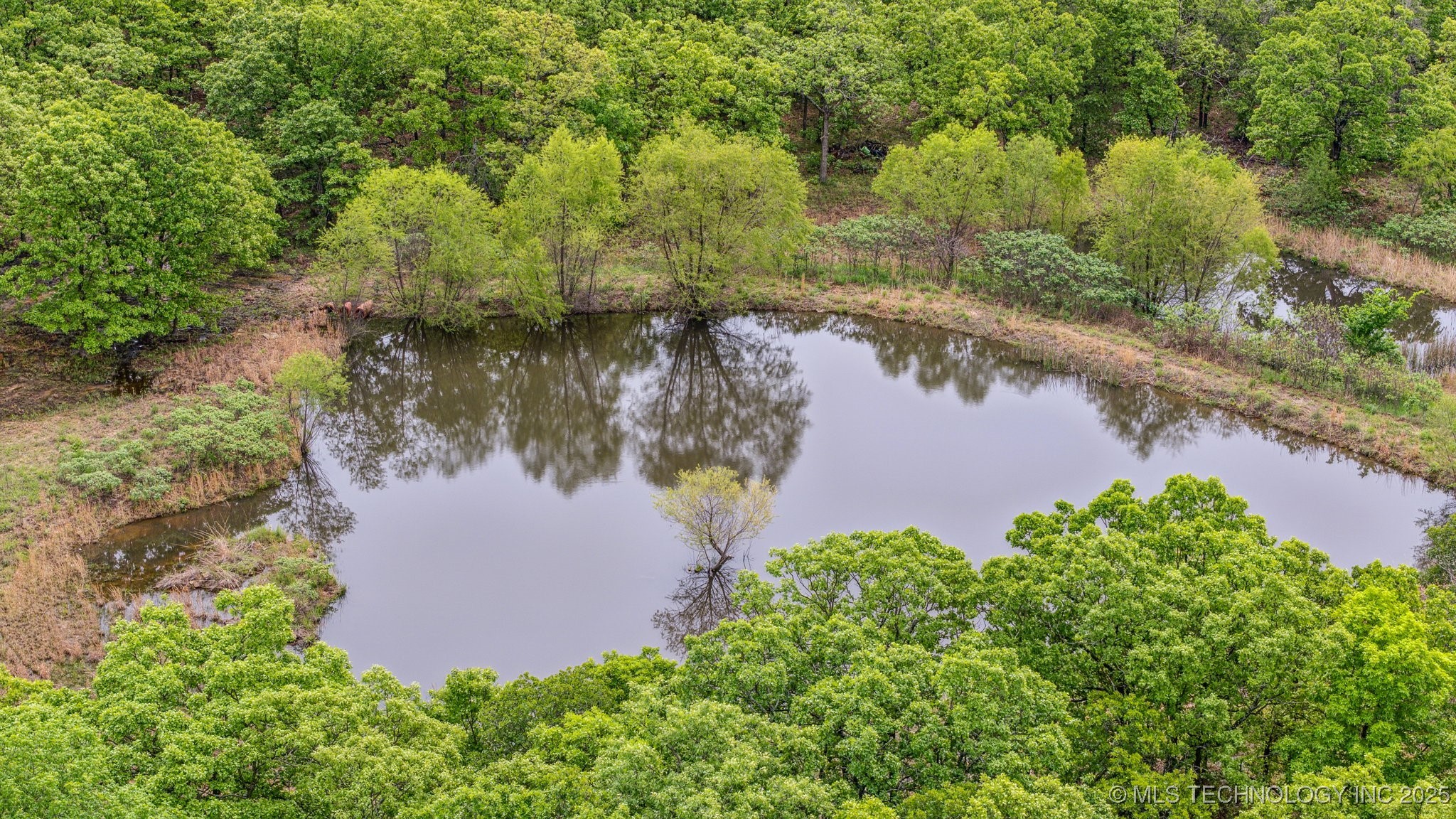 1001 County Road 2265 Property Photo 67