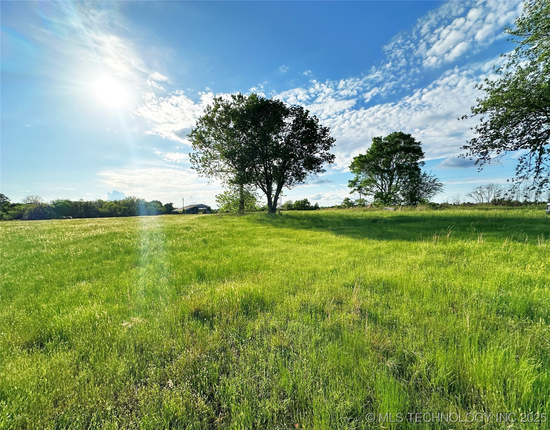 Coon Creek Road Property Photo 4