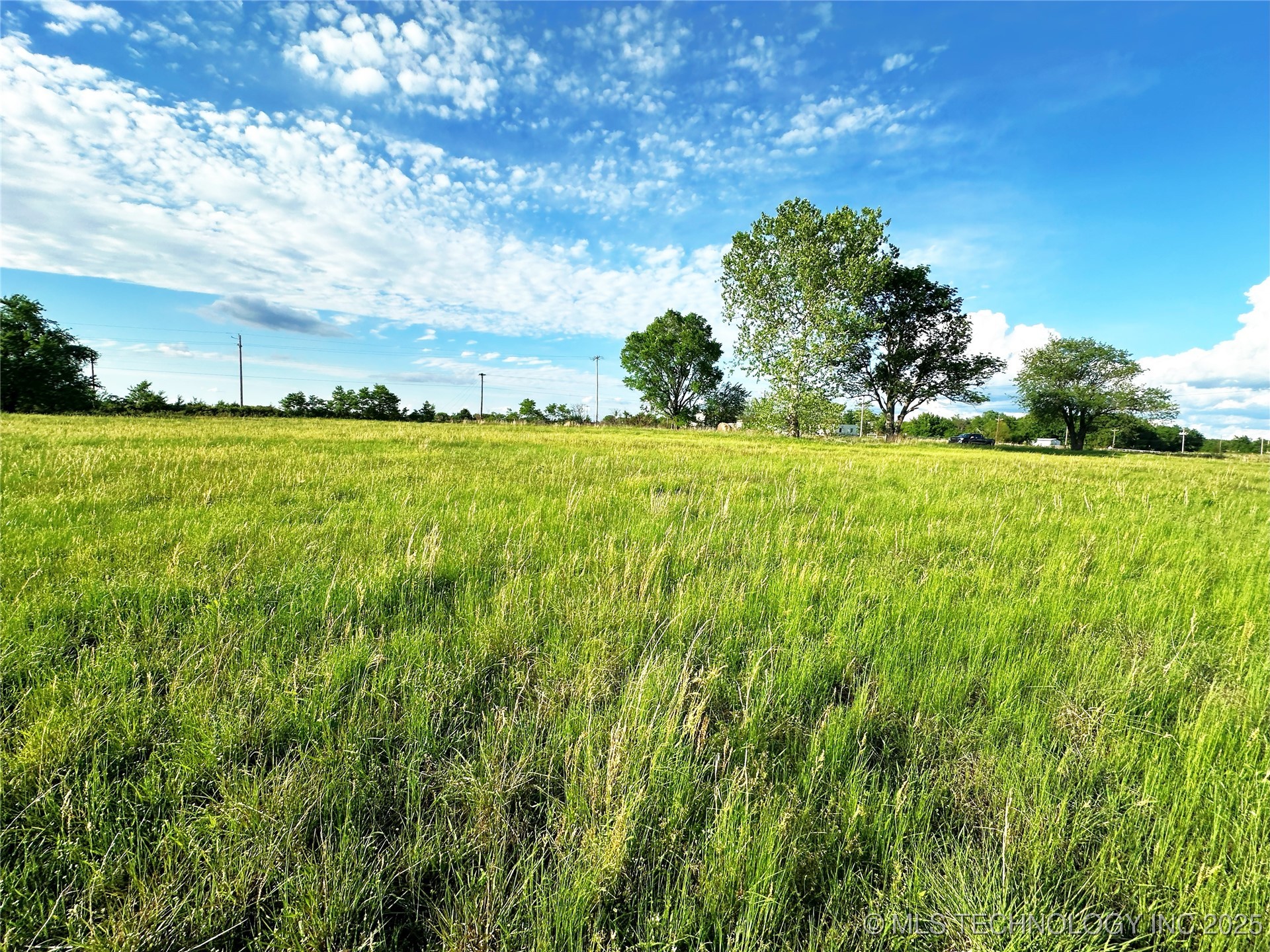 Coon Creek Road Property Photo 5