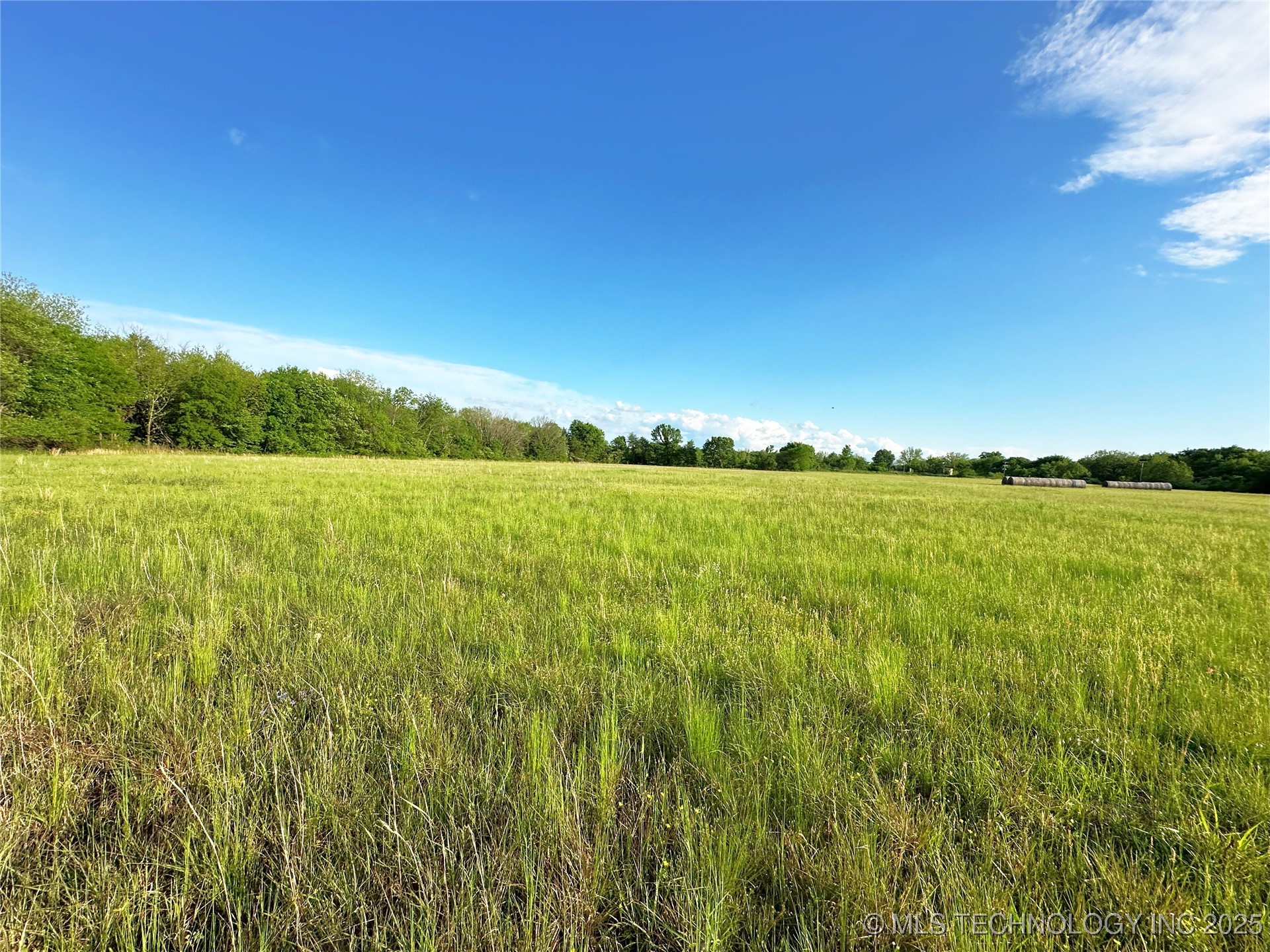 Coon Creek Road Property Photo 6