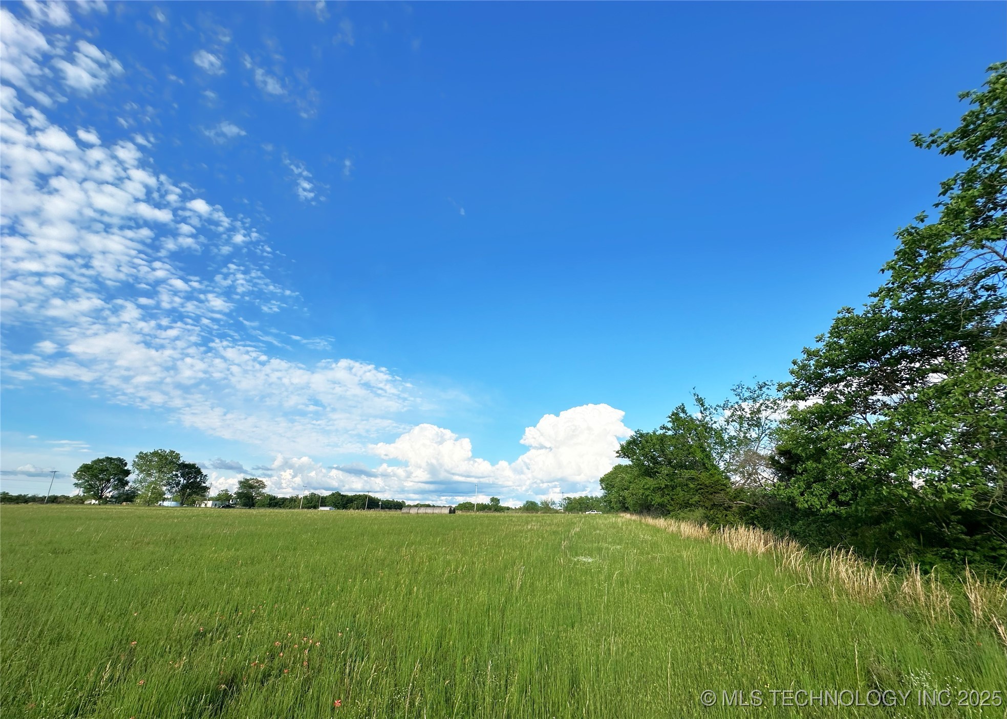 Coon Creek Road Property Photo 7