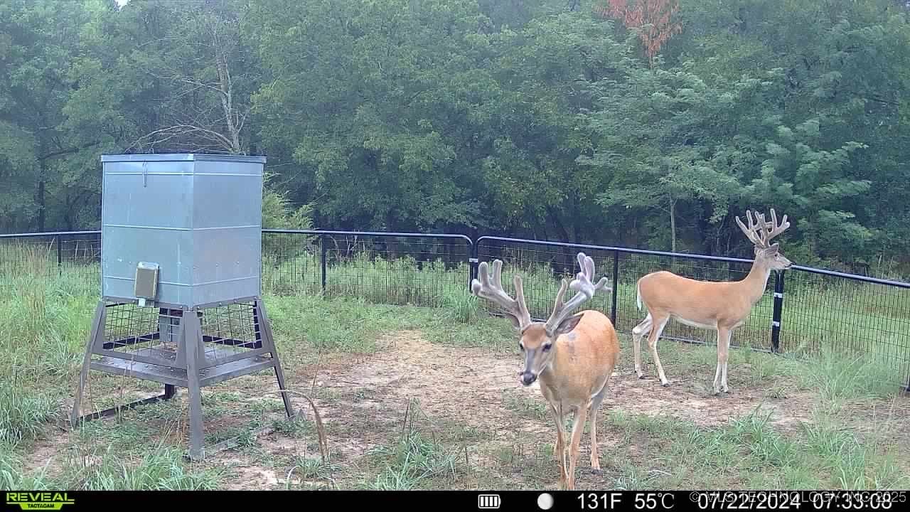 N County Road 3740 Property Photo 1