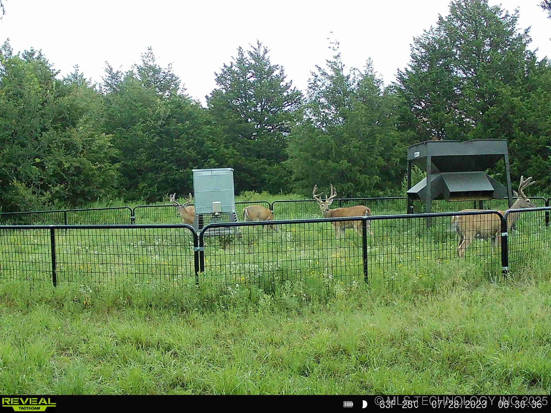 N County Road 3740 Property Photo 35