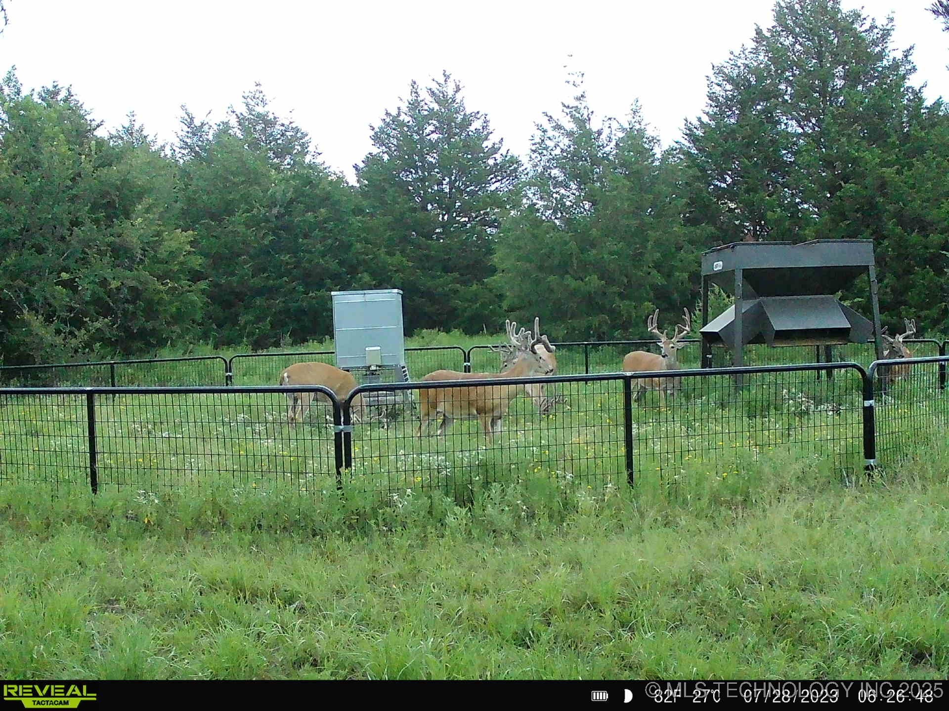 N County Road 3740 Property Photo 36