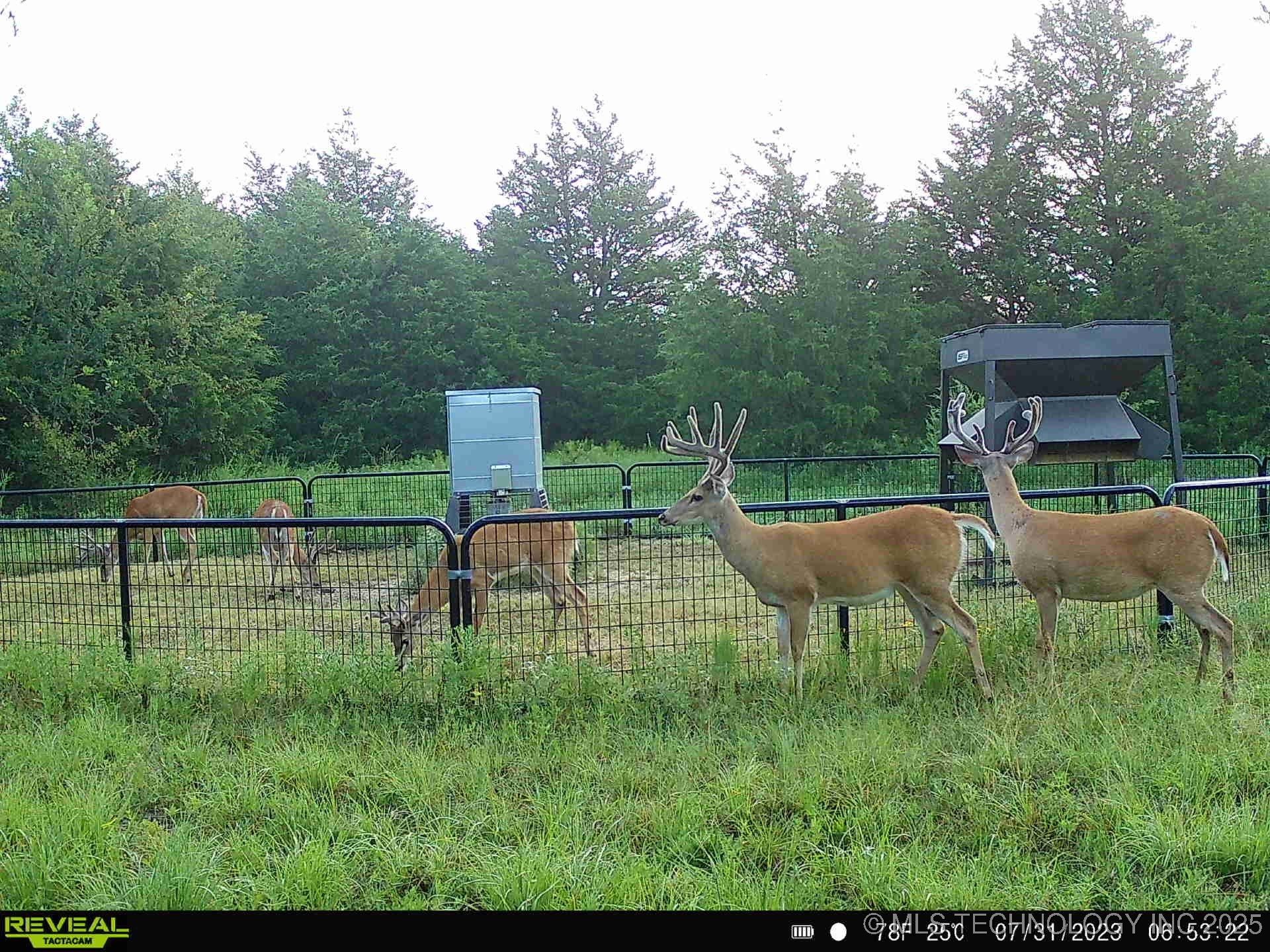 N County Road 3740 Property Photo 37