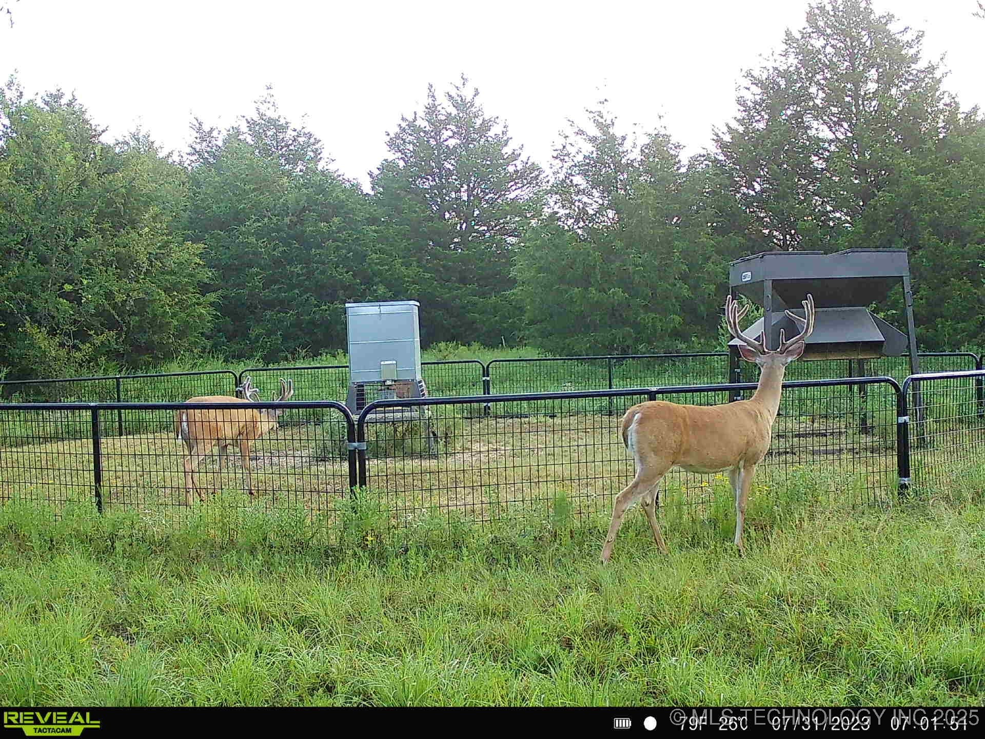 N County Road 3740 Property Photo 38