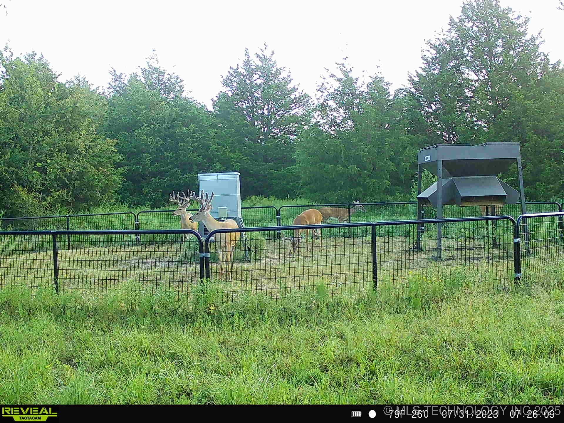 N County Road 3740 Property Photo 39