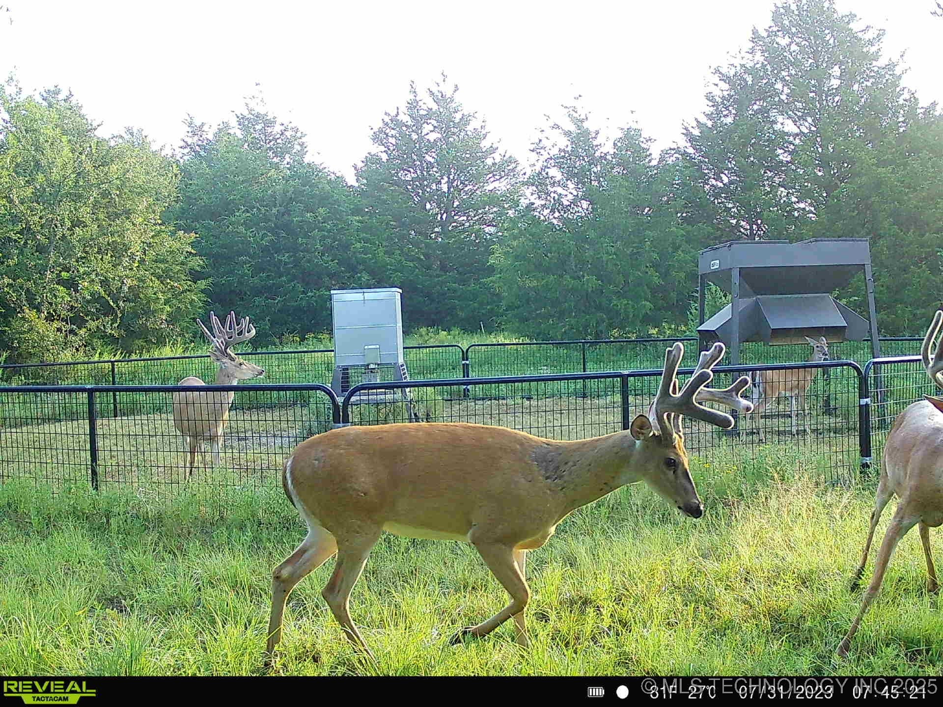N County Road 3740 Property Photo 40