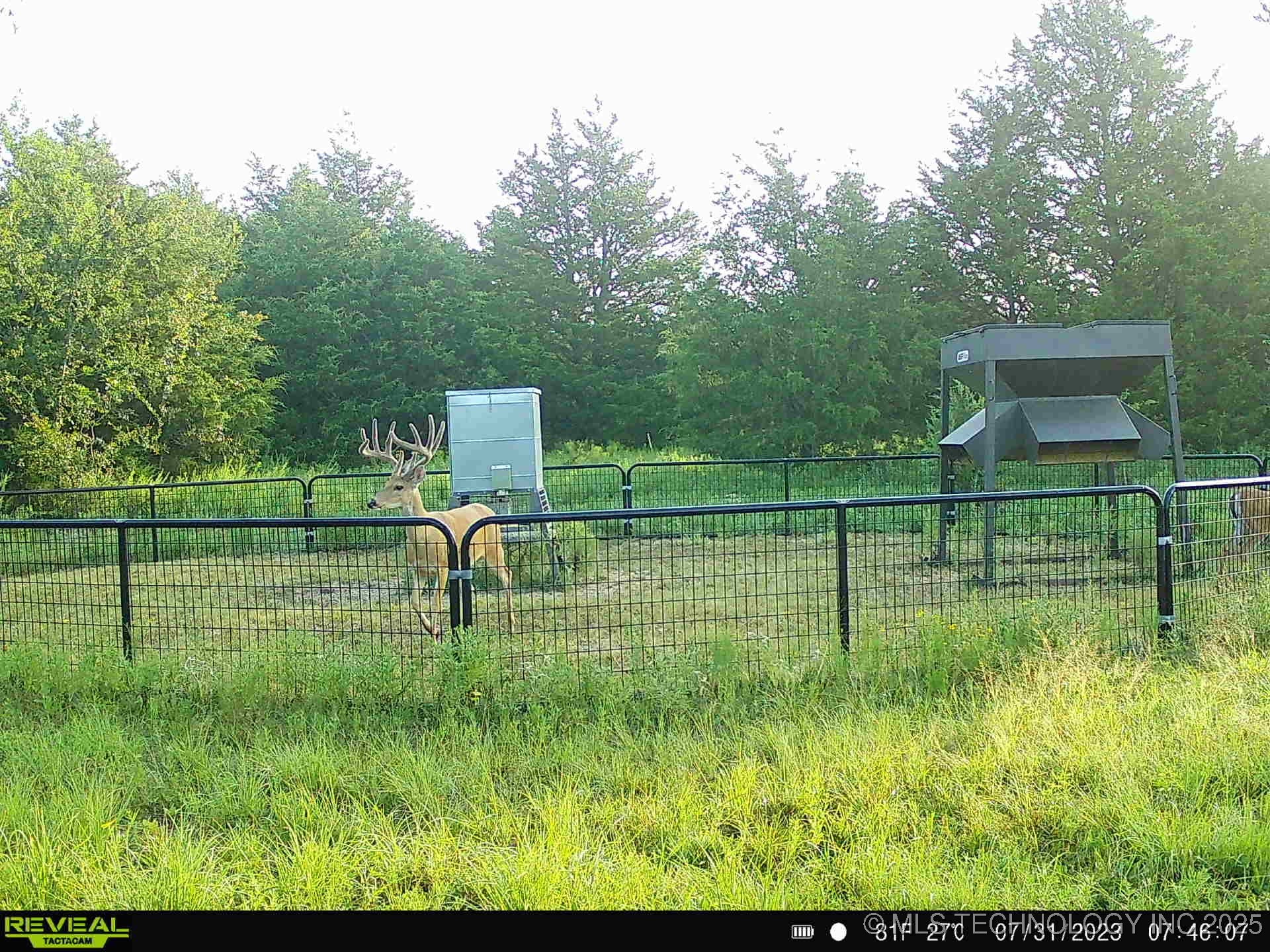 N County Road 3740 Property Photo 41