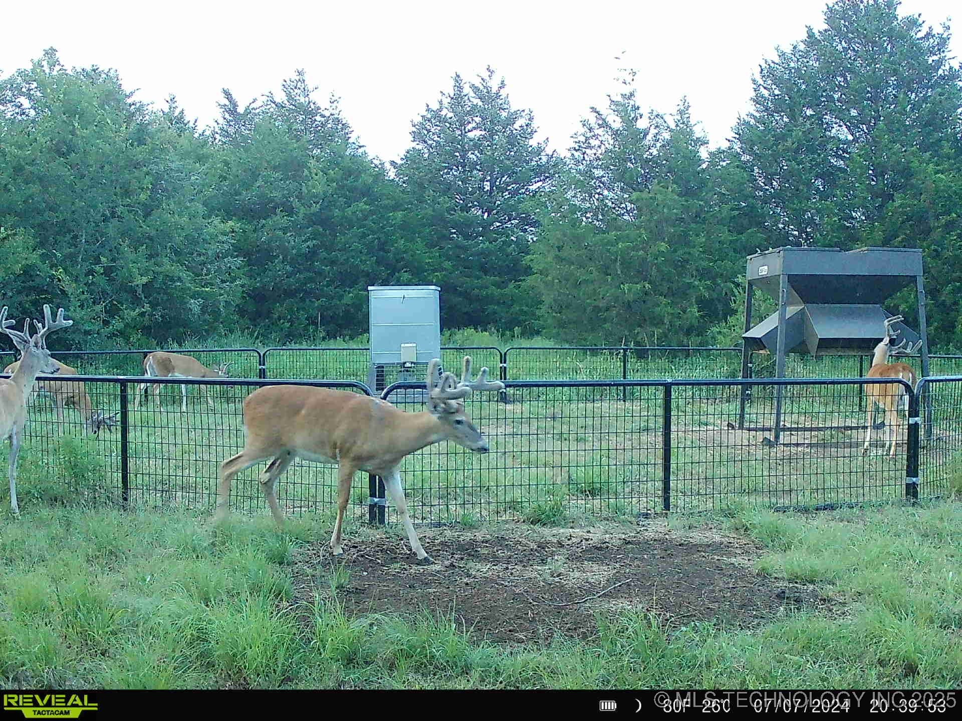 N County Road 3740 Property Photo 45