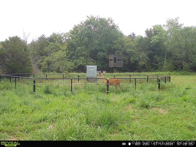 N County Road 3740 Property Photo 47