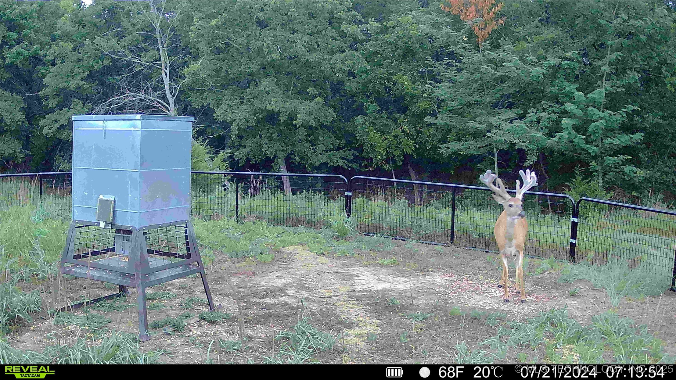 N County Road 3740 Property Photo 48