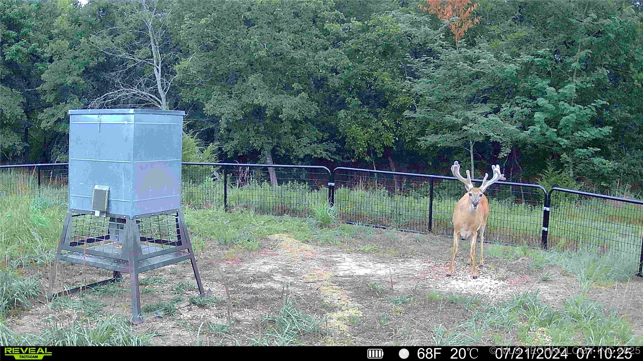 N County Road 3740 Property Photo 49