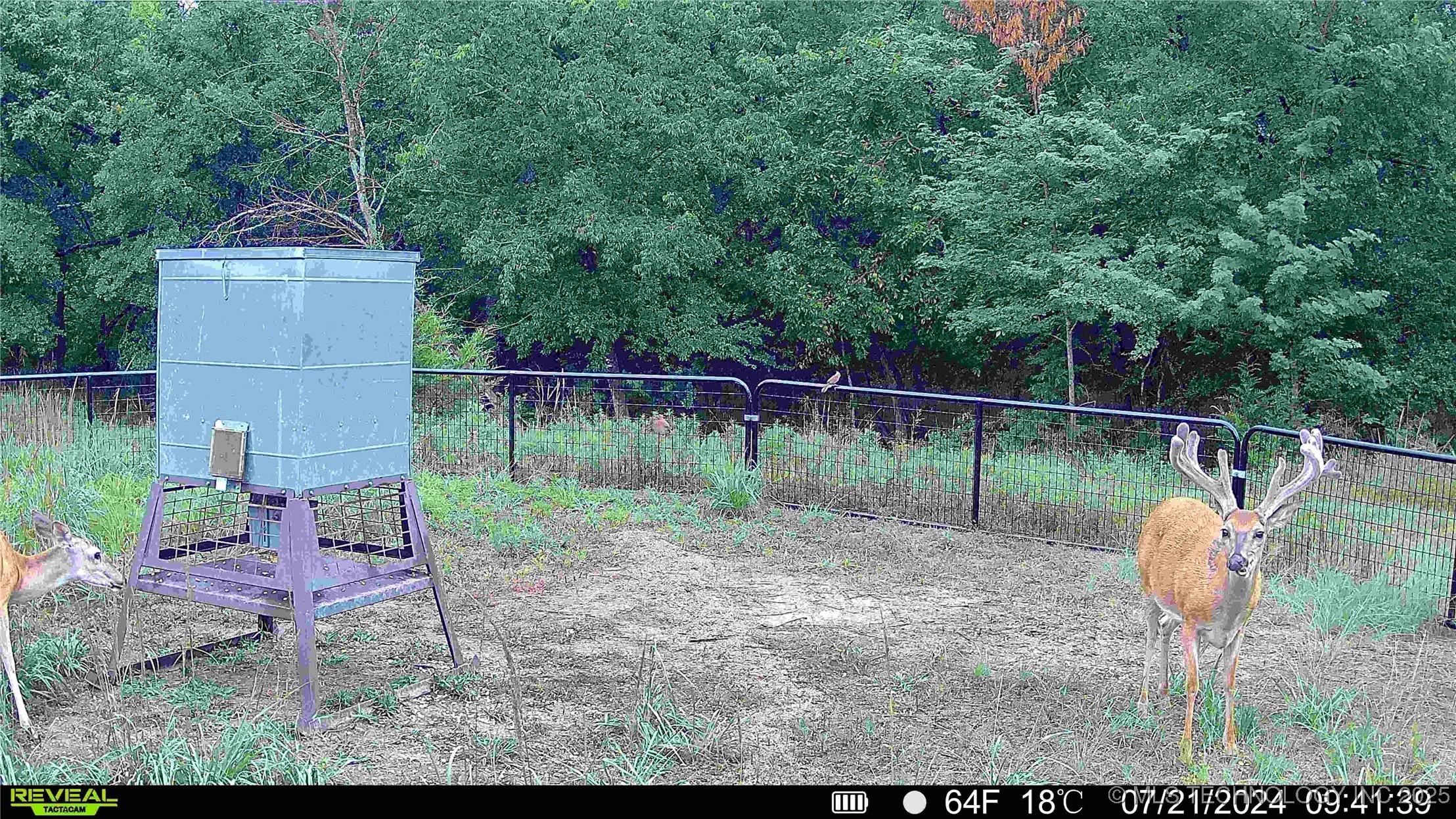 N County Road 3740 Property Photo 50