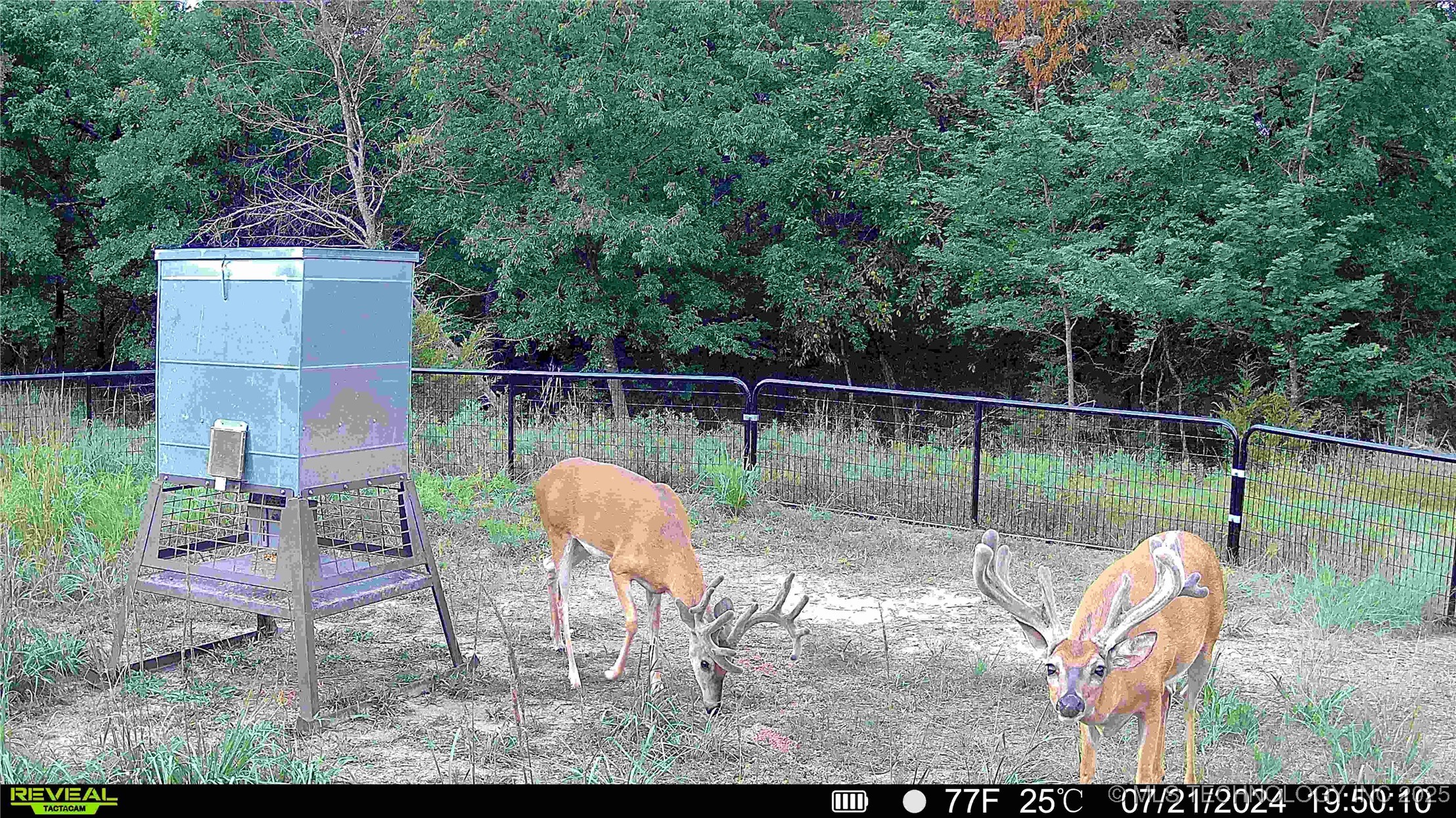 N County Road 3740 Property Photo 51