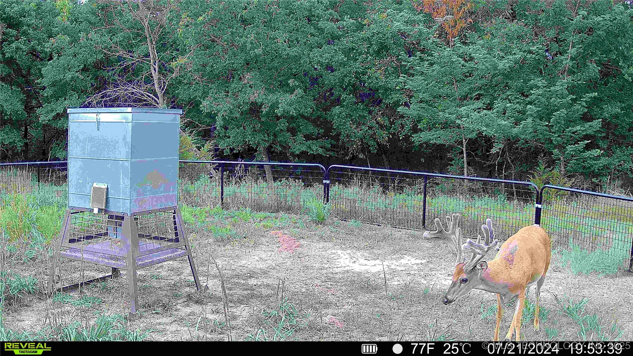 N County Road 3740 Property Photo 52