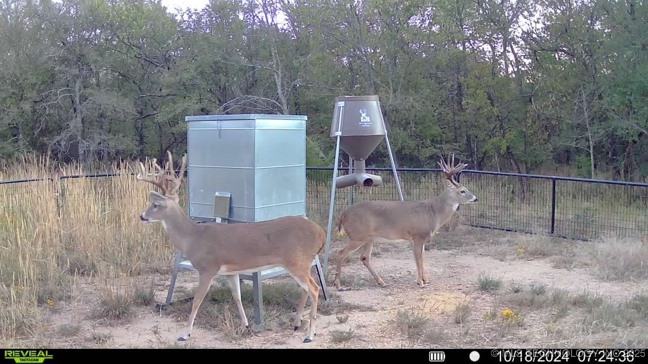 N County Road 3740 Property Photo 54