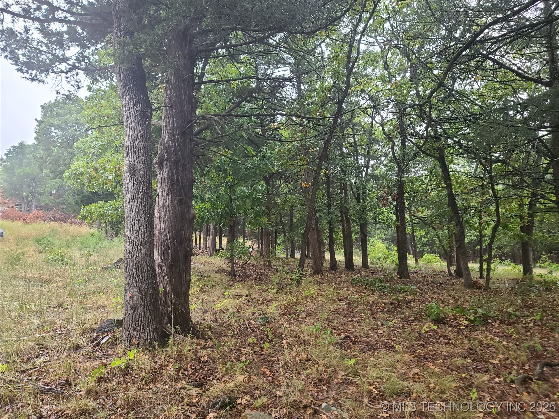 17 Sleepy Hollow Road Property Photo 5