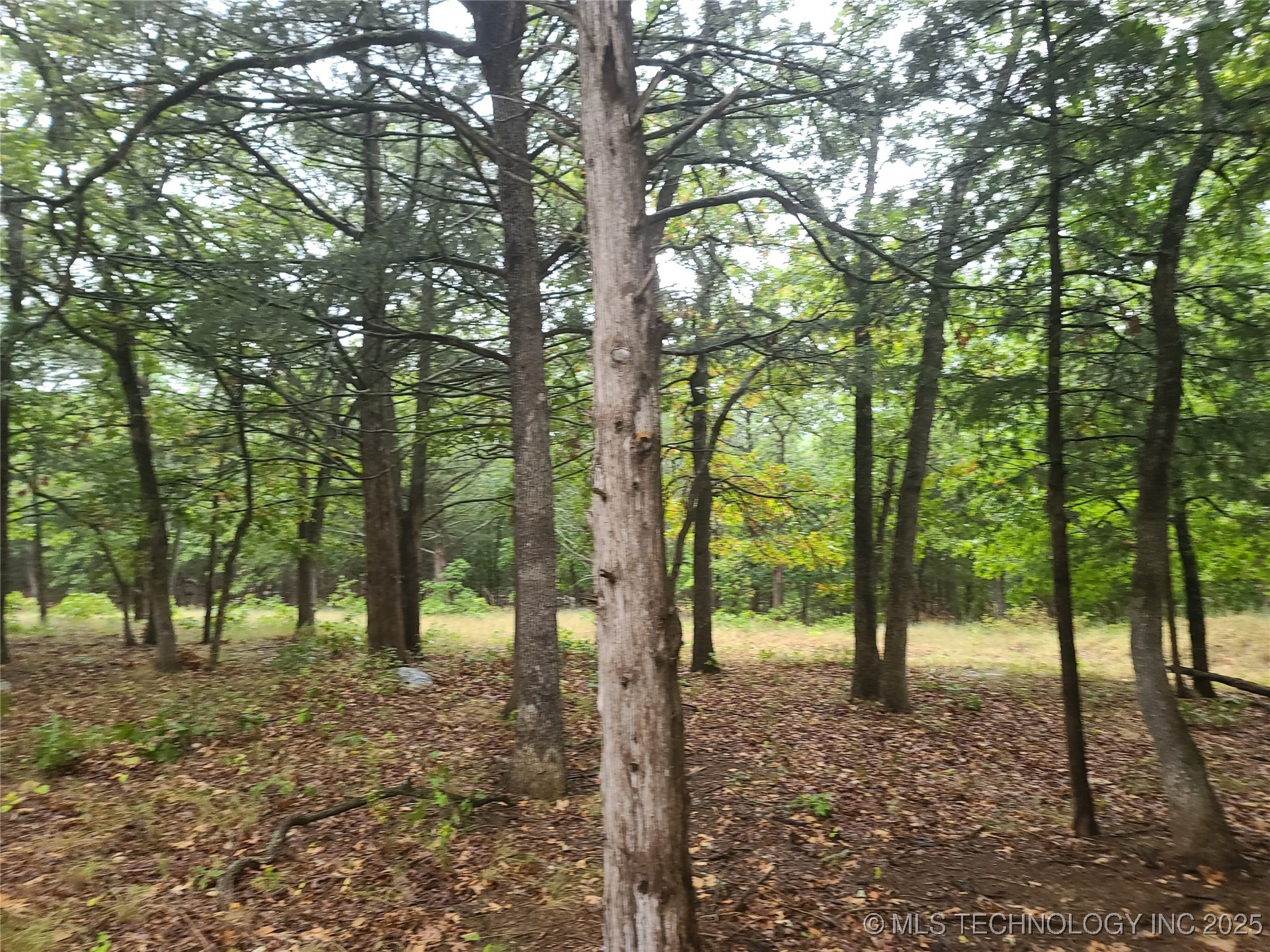 17 Sleepy Hollow Road Property Photo 6