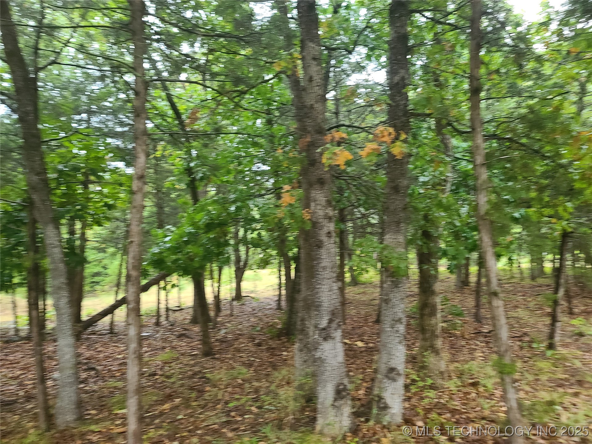 17 Sleepy Hollow Road Property Photo 7