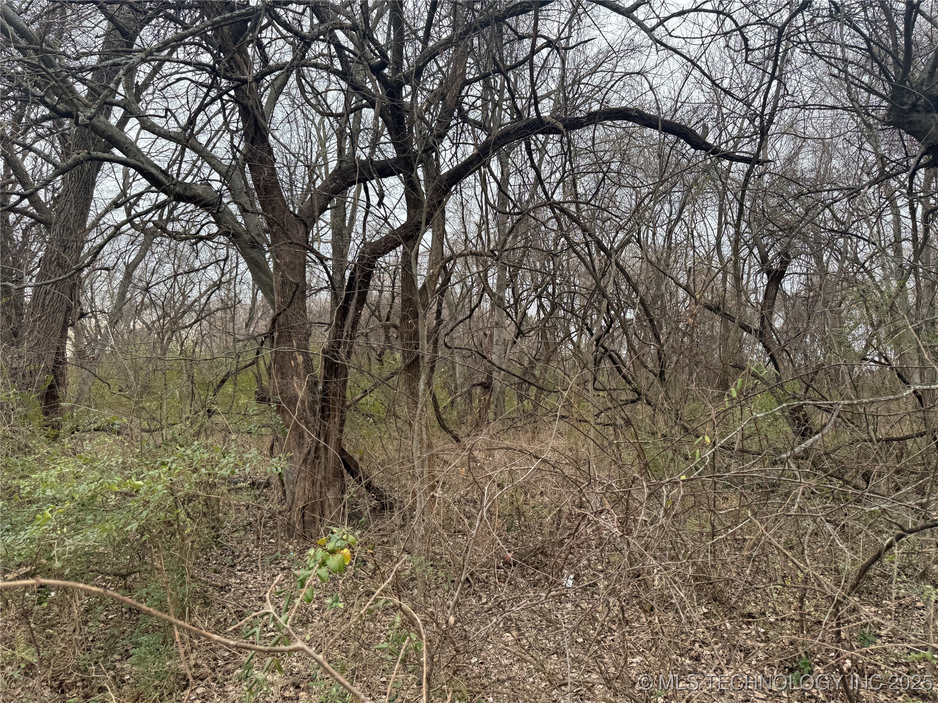 126 Sandow Street Property Photo 1