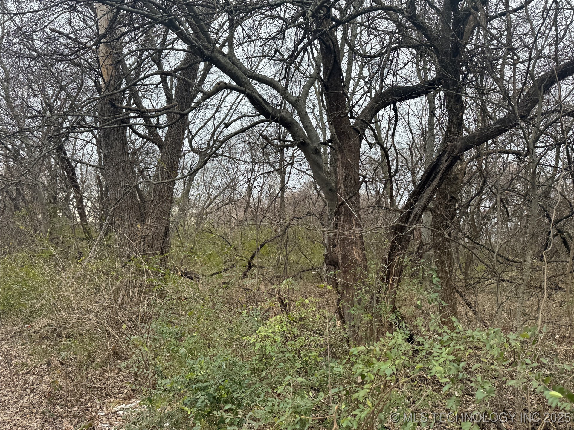 126 Sandow Street Property Photo 2